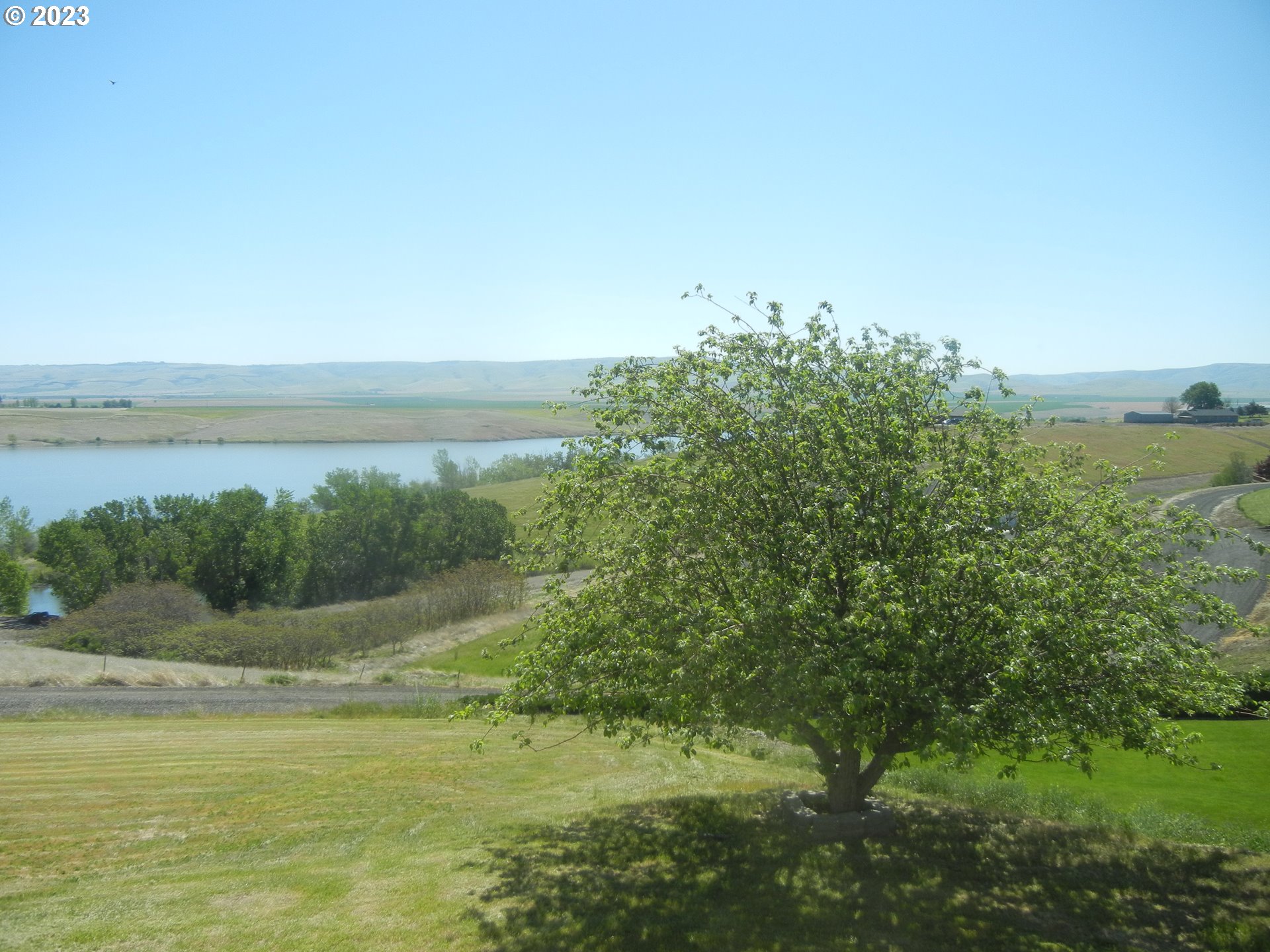 43776 Buckboard Trail Road Pendleton, OR 97801 - Photo 4 of 22 a view of a lake from a yard