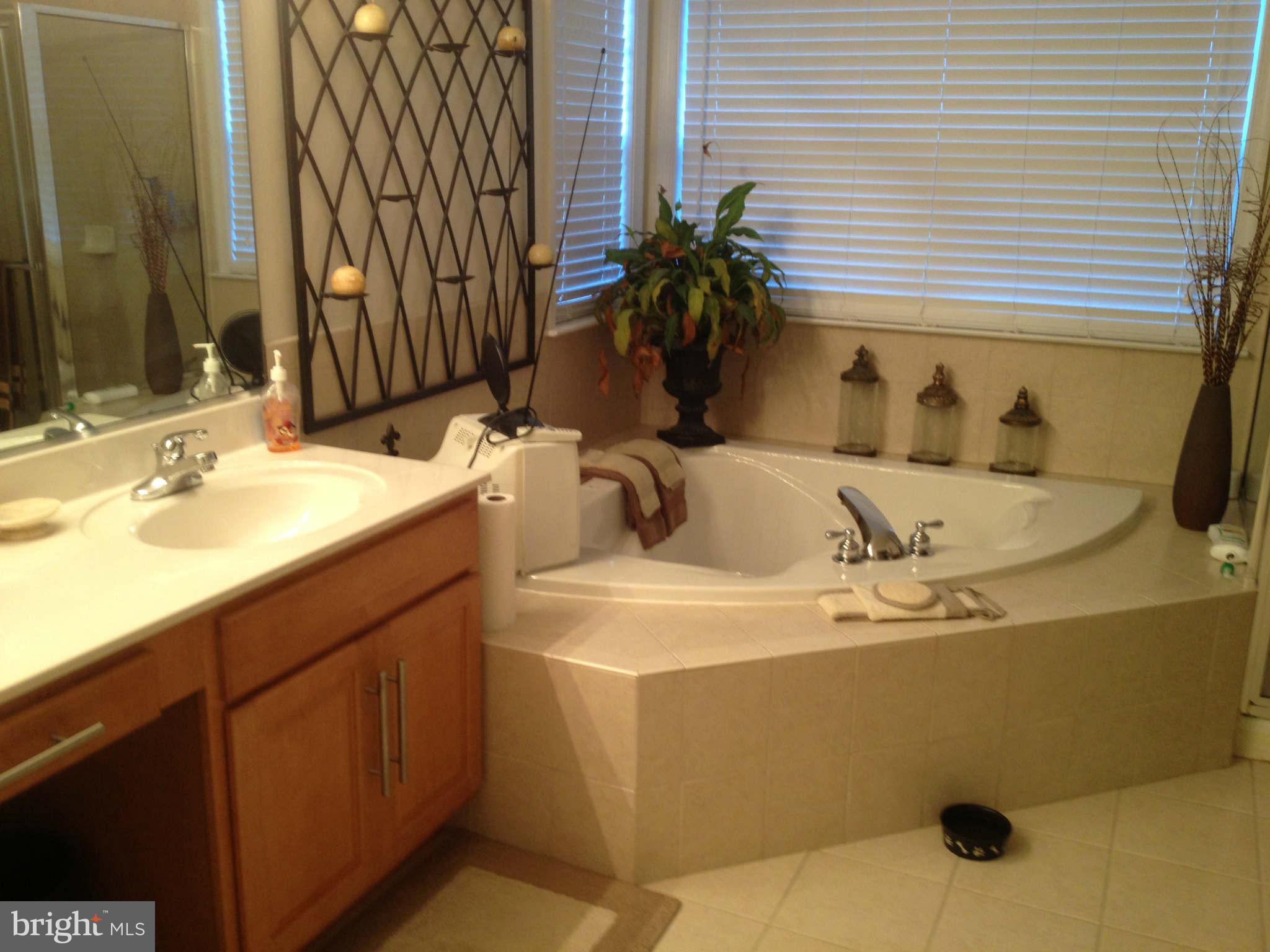 13717 Rockingham Road Germantown, MD 20874 - Photo 8 of 12 Bath (Master)