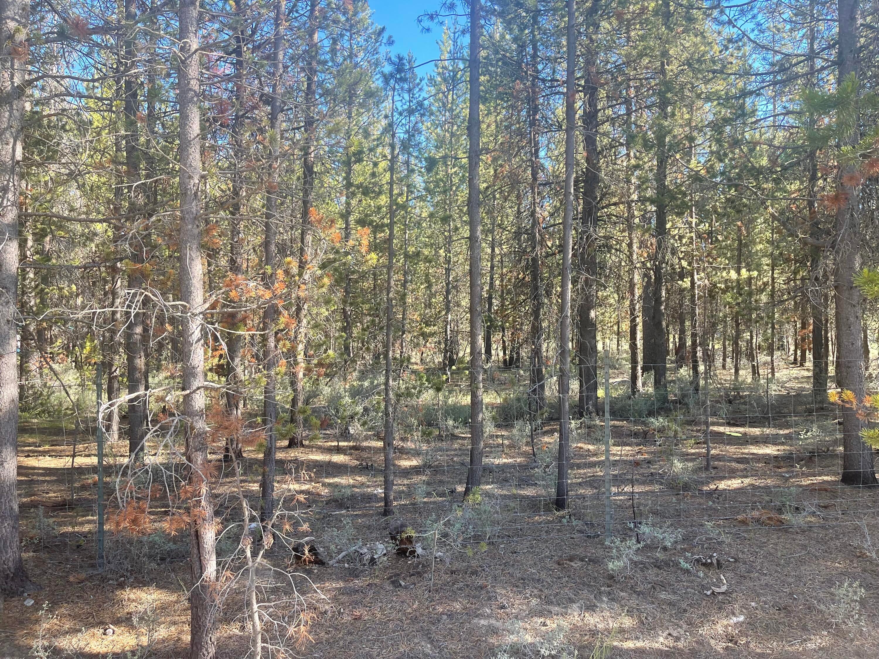 15461 Federal Road La Pine, OR 97739 - Photo 5 of 5 IMG_1938