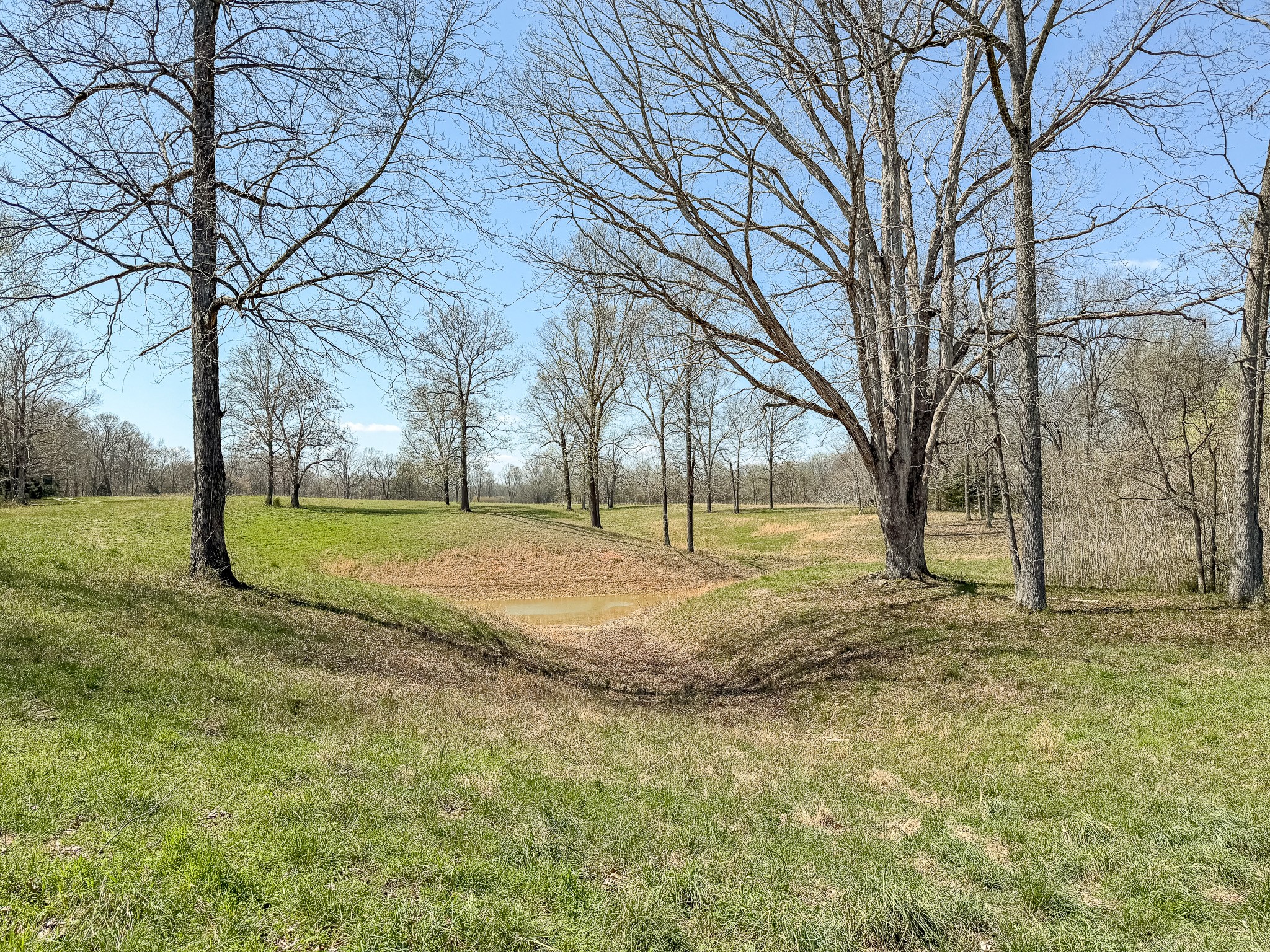 1904 Millers Chapel Road Charlotte, TN 37036 - Photo 11 of 43