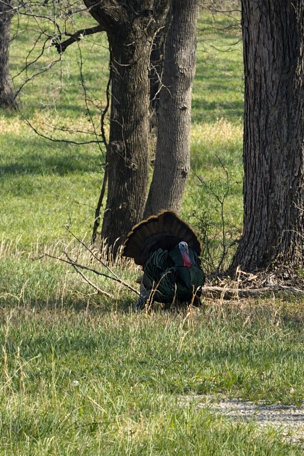 1904 Millers Chapel Road Charlotte, TN 37036 - Photo 12 of 43