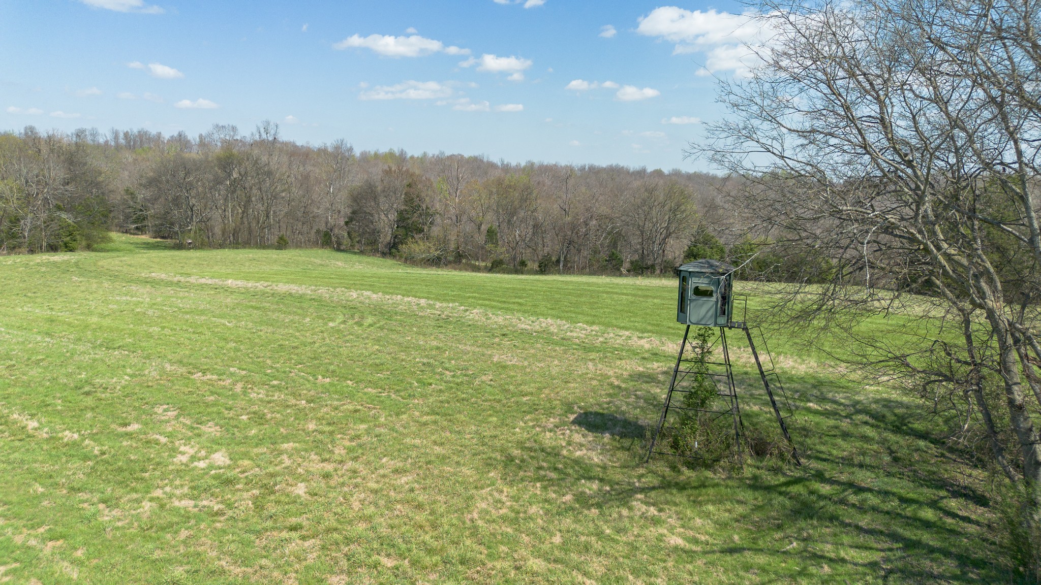 1904 Millers Chapel Road Charlotte, TN 37036 - Photo 13 of 43