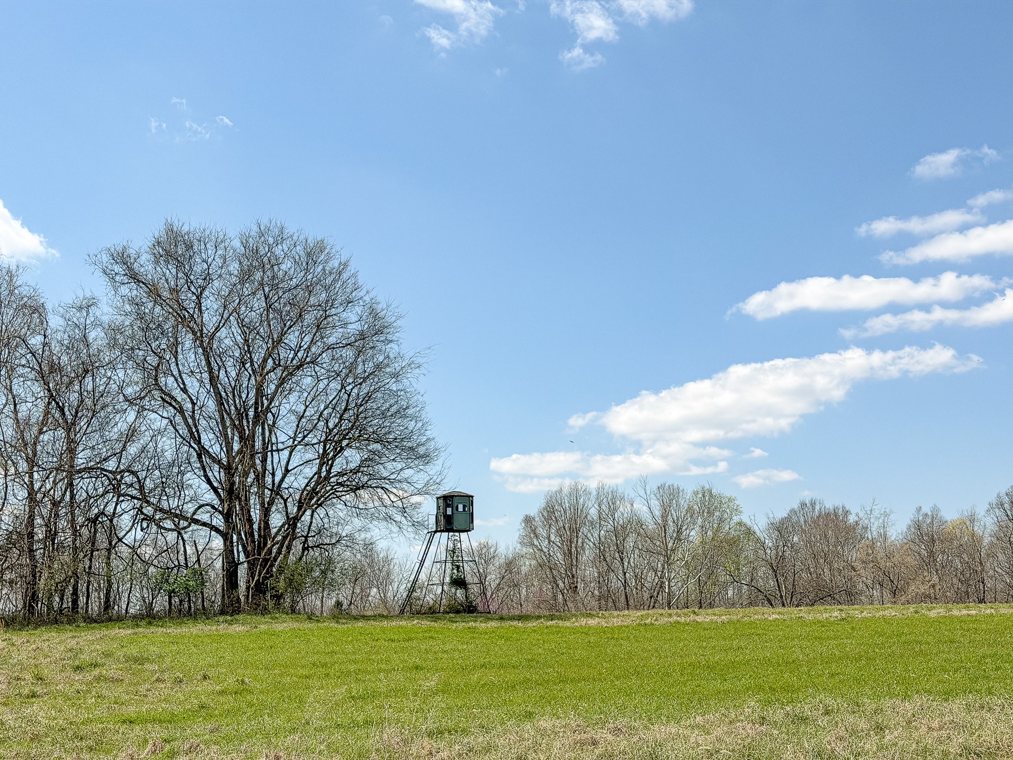 1904 Millers Chapel Road Charlotte, TN 37036 - Photo 15 of 43