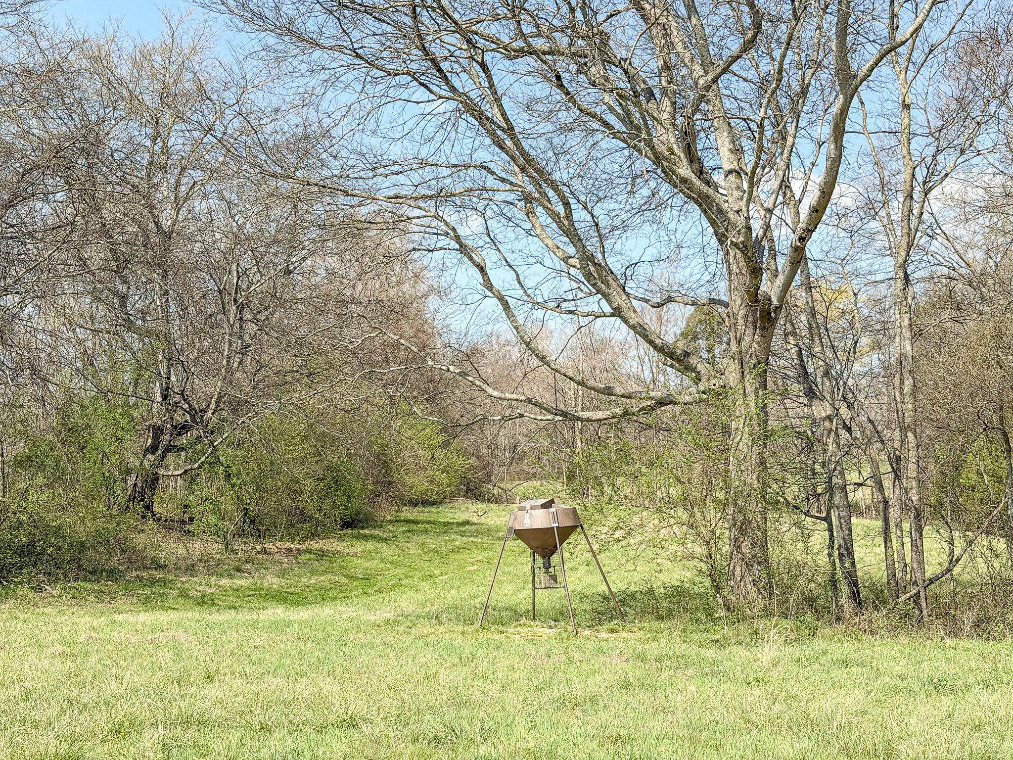 1904 Millers Chapel Road Charlotte, TN 37036 - Photo 16 of 43