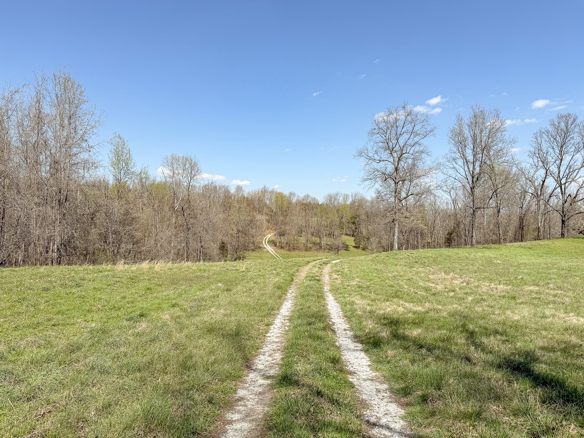 1904 Millers Chapel Road Charlotte, TN 37036 - Photo 19 of 43