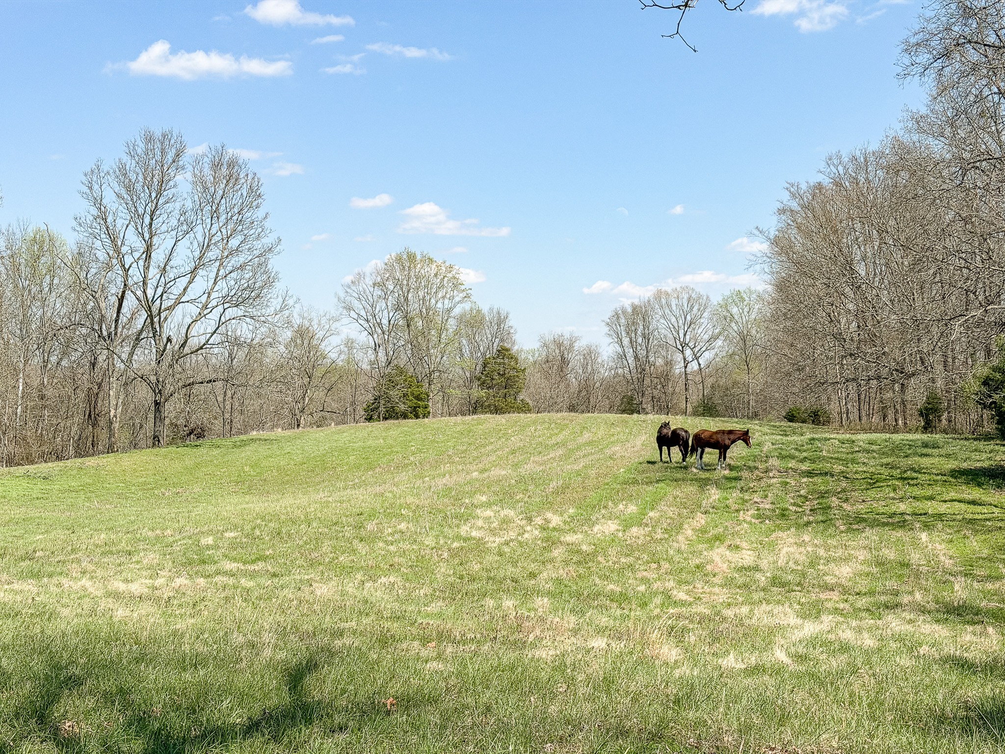 1904 Millers Chapel Road Charlotte, TN 37036 - Photo 20 of 43