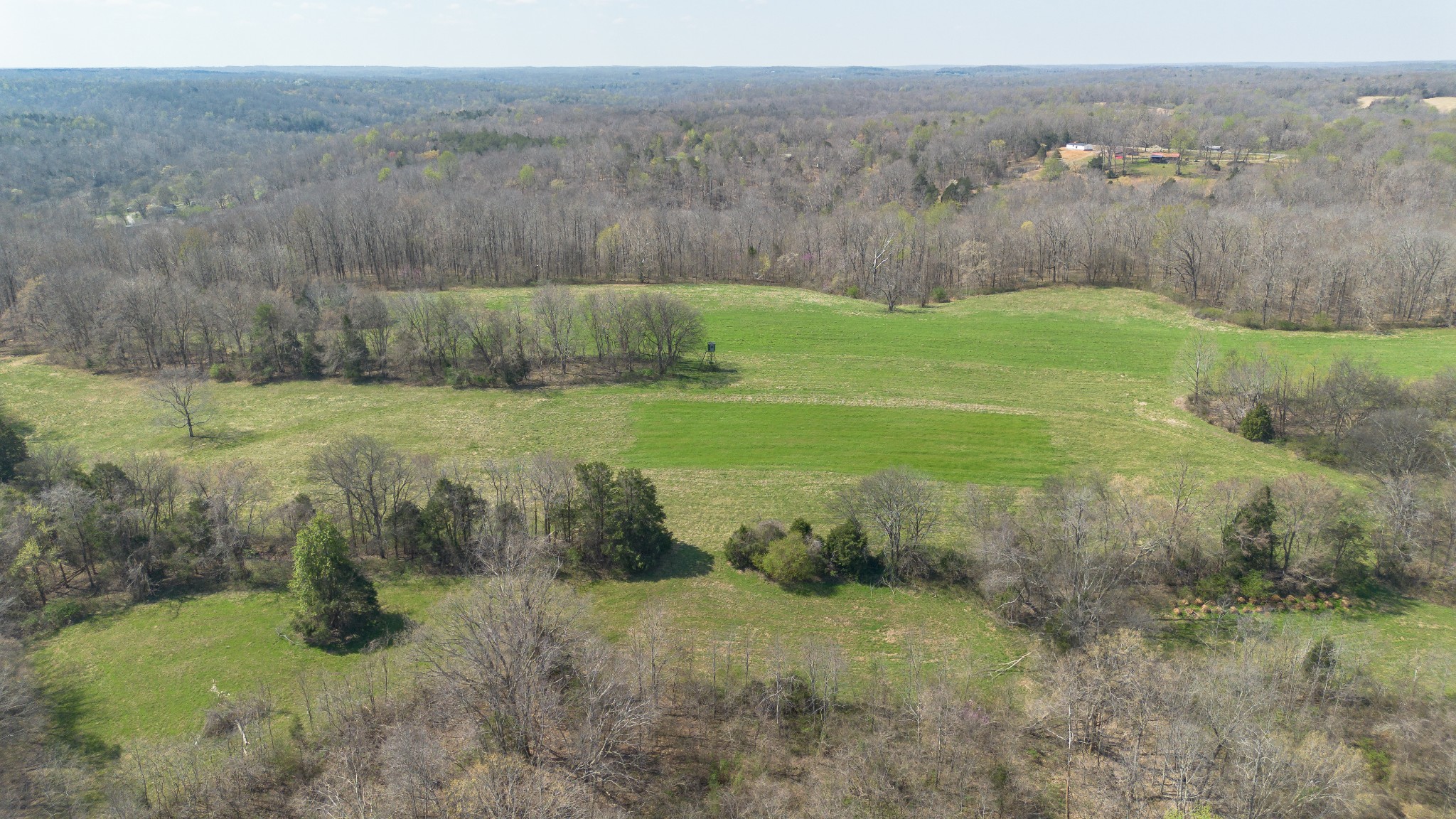 1904 Millers Chapel Road Charlotte, TN 37036 - Photo 22 of 43