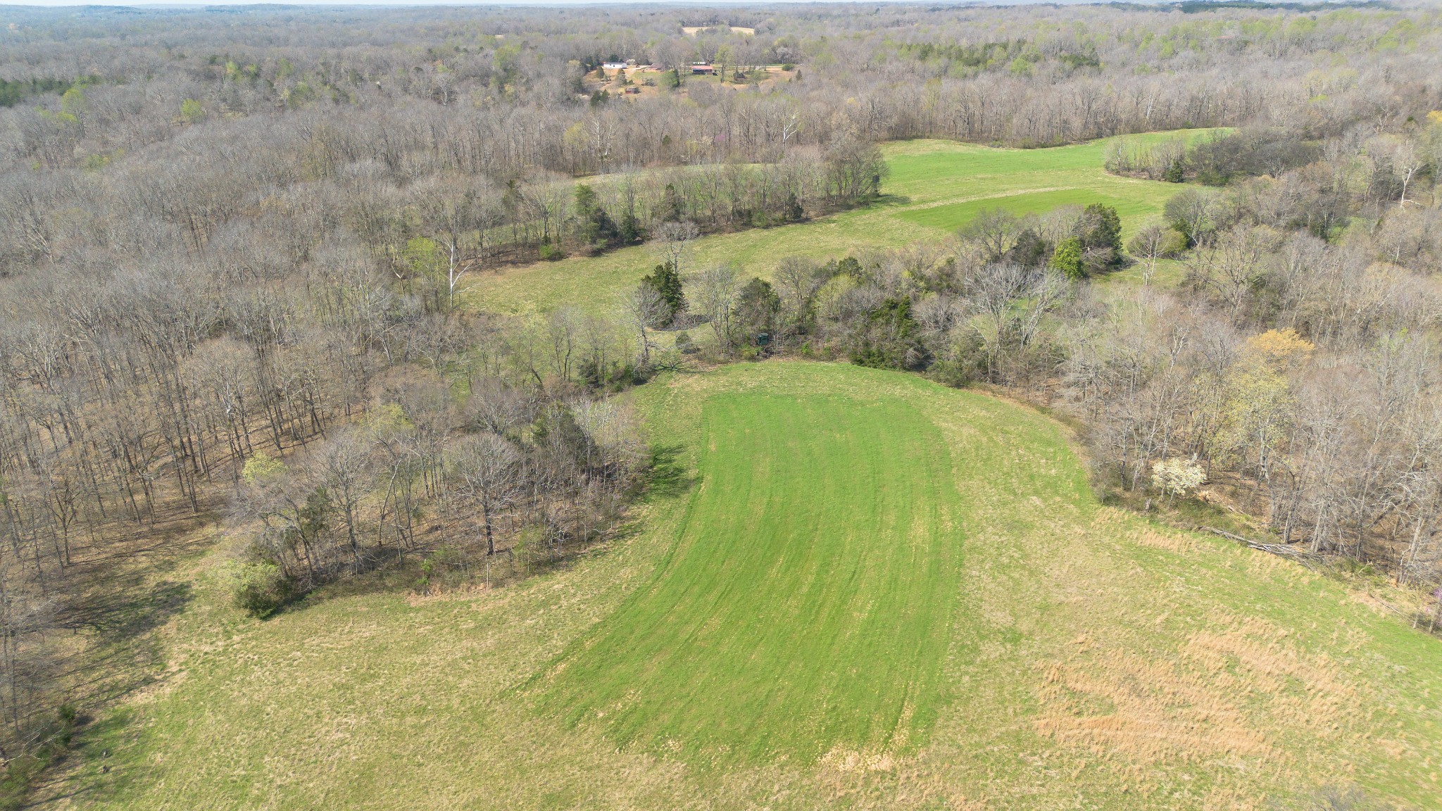 1904 Millers Chapel Road Charlotte, TN 37036 - Photo 23 of 43