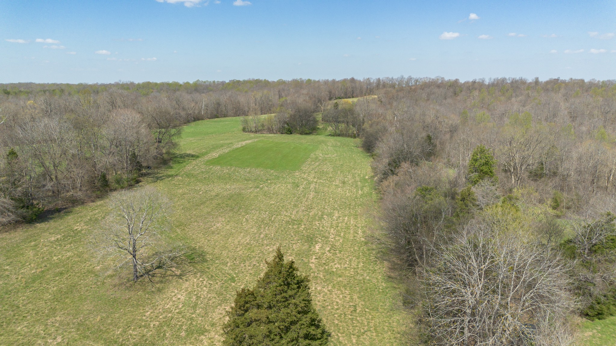 1904 Millers Chapel Road Charlotte, TN 37036 - Photo 25 of 43