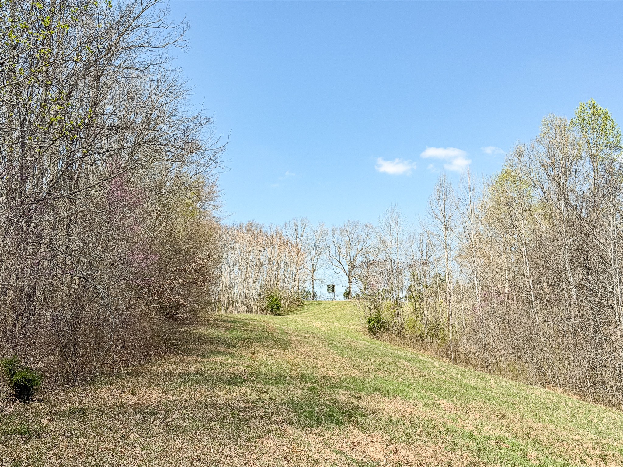 1904 Millers Chapel Road Charlotte, TN 37036 - Photo 26 of 43