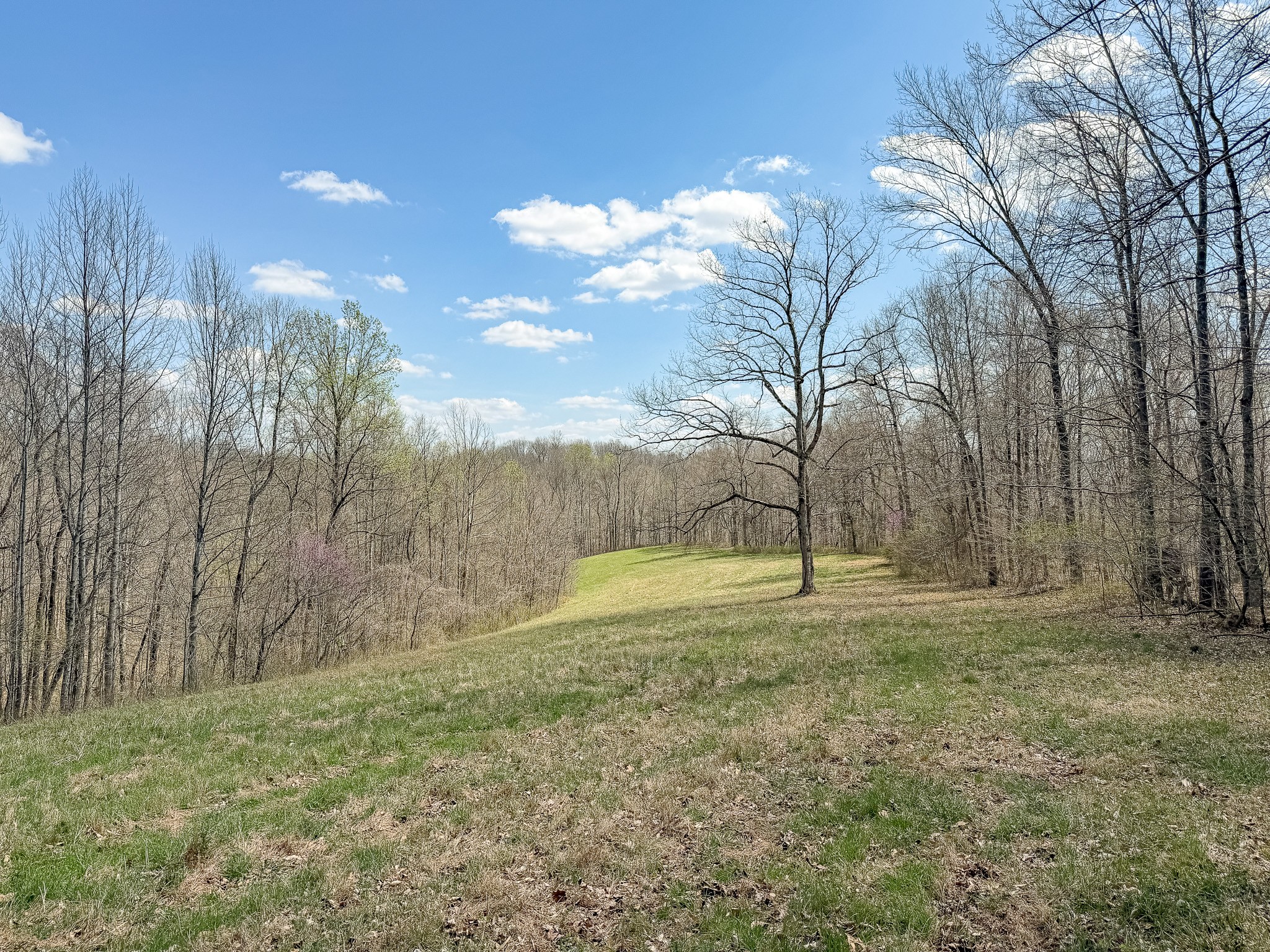 1904 Millers Chapel Road Charlotte, TN 37036 - Photo 27 of 43