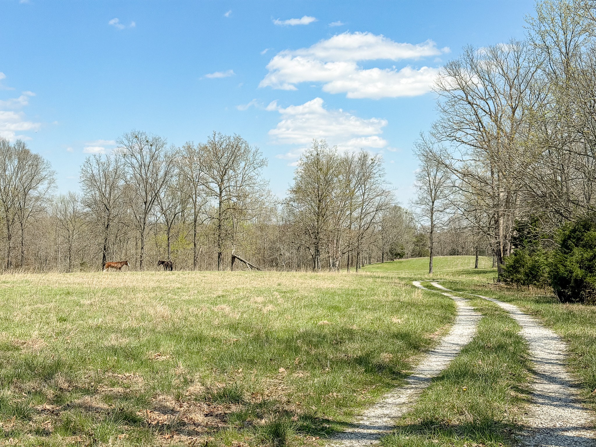 1904 Millers Chapel Road Charlotte, TN 37036 - Photo 28 of 43