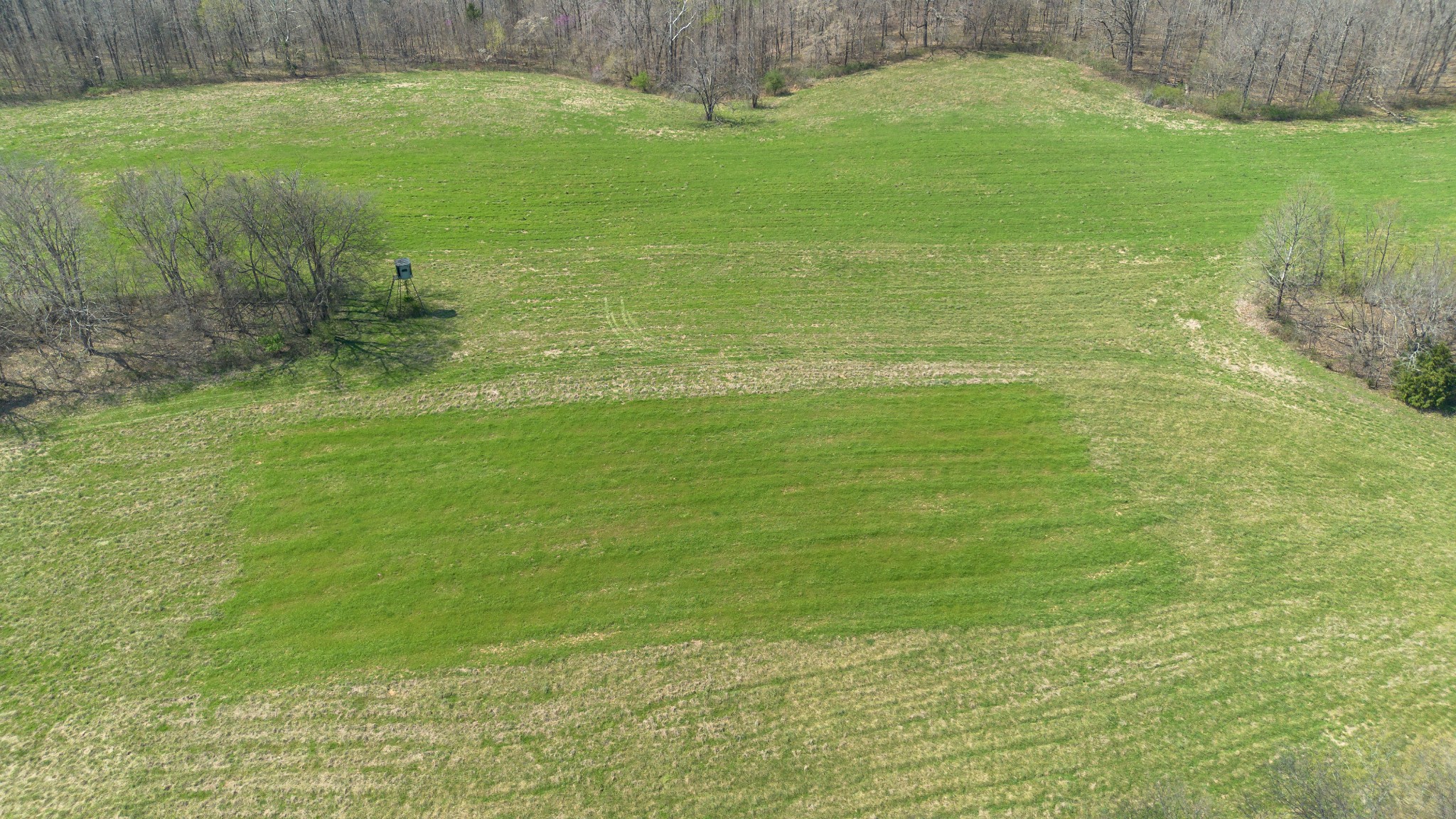 1904 Millers Chapel Road Charlotte, TN 37036 - Photo 30 of 43