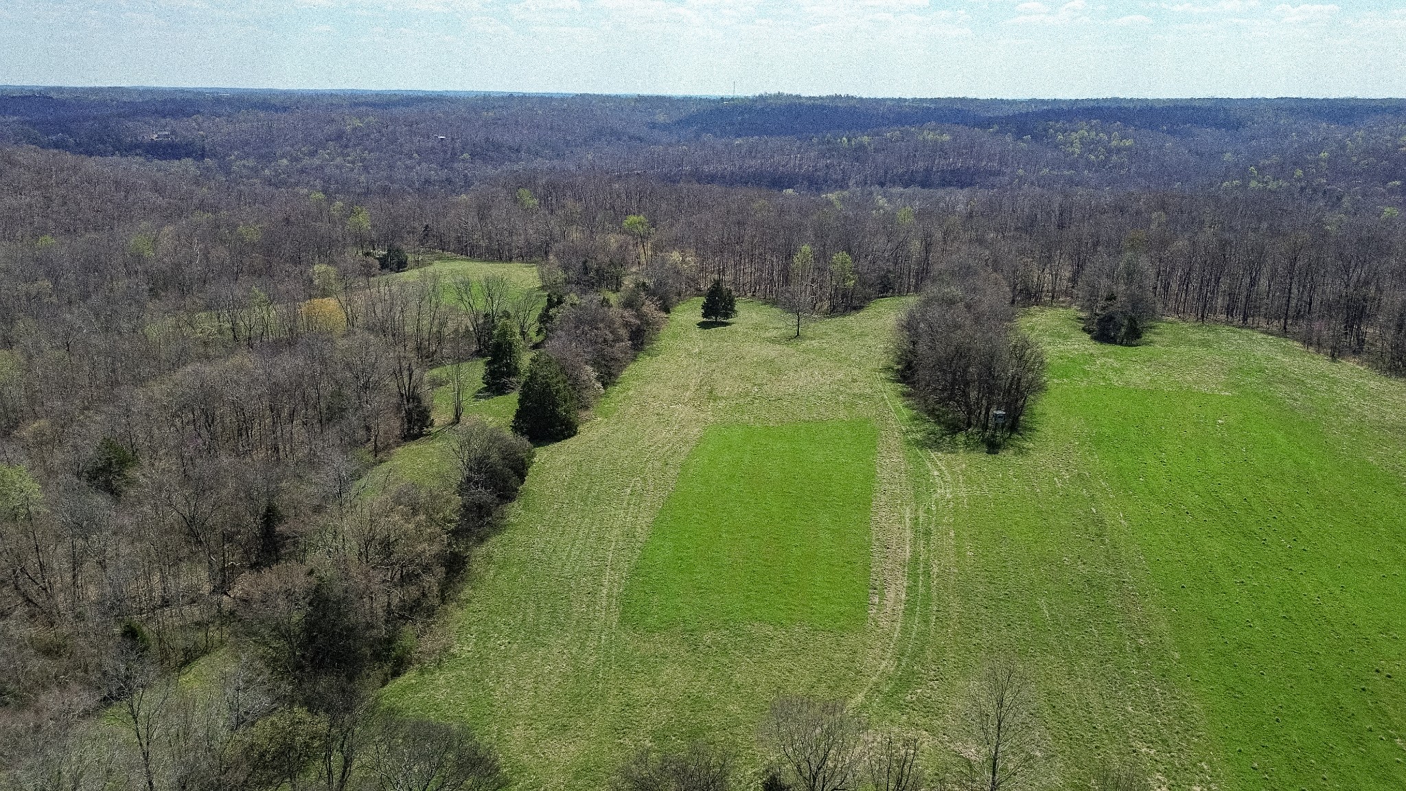 1904 Millers Chapel Road Charlotte, TN 37036 - Photo 31 of 43