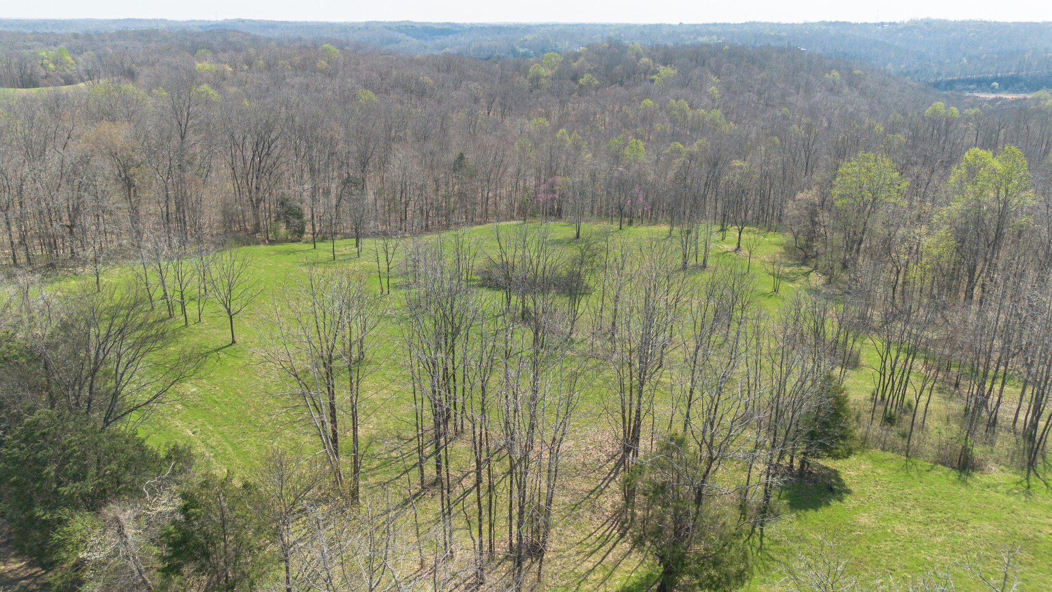 1904 Millers Chapel Road Charlotte, TN 37036 - Photo 32 of 43