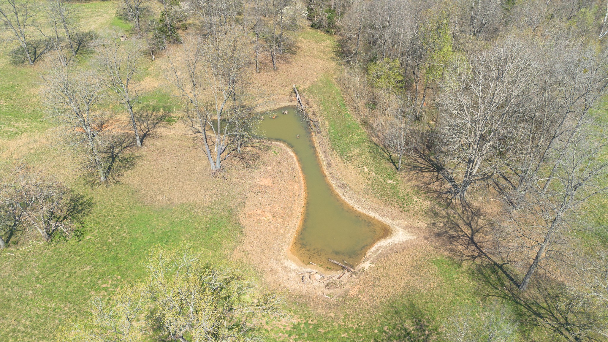 1904 Millers Chapel Road Charlotte, TN 37036 - Photo 33 of 43