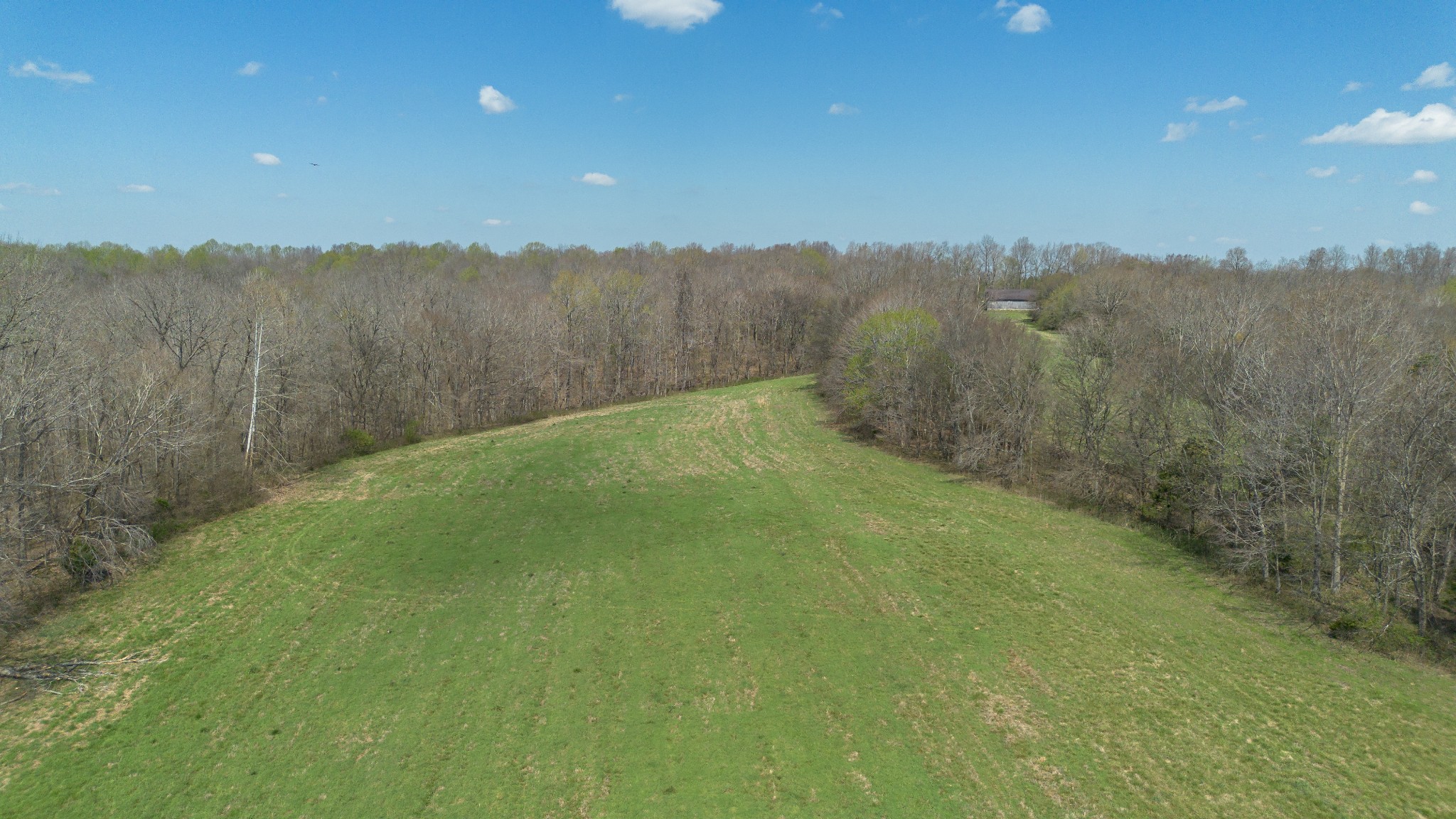 1904 Millers Chapel Road Charlotte, TN 37036 - Photo 34 of 43