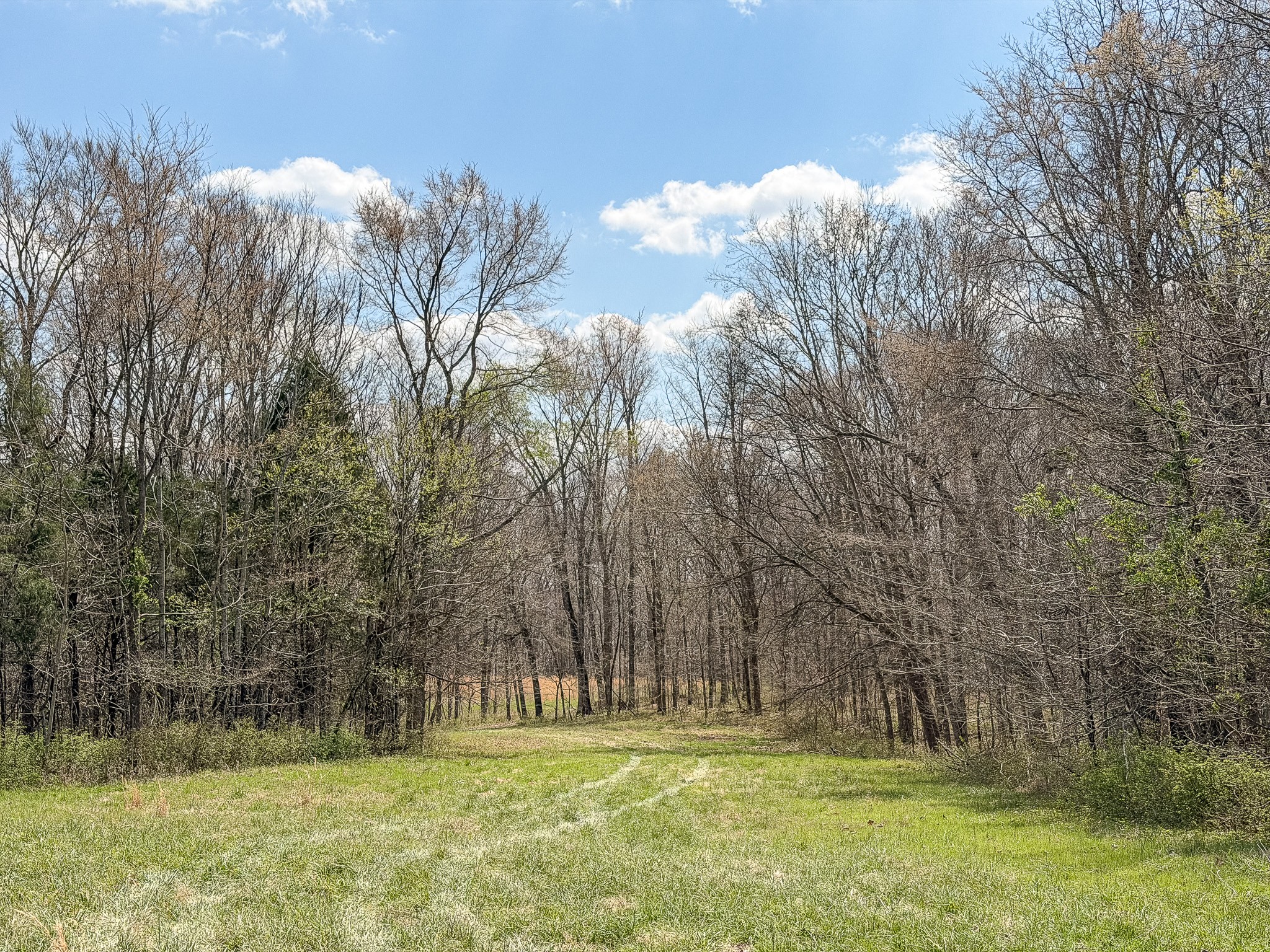 1904 Millers Chapel Road Charlotte, TN 37036 - Photo 38 of 43