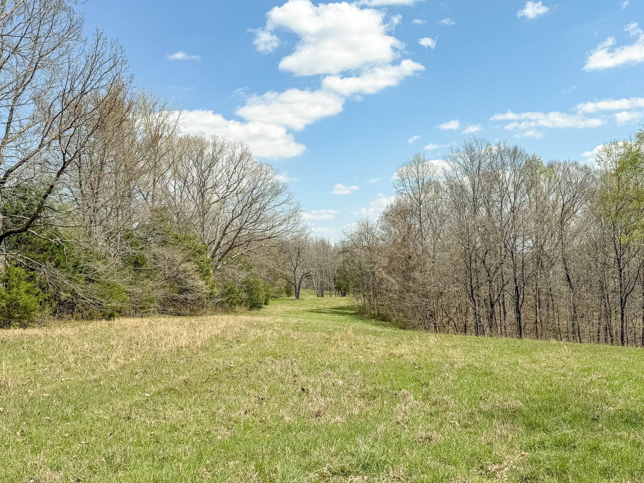 1904 Millers Chapel Road Charlotte, TN 37036 - Photo 39 of 43