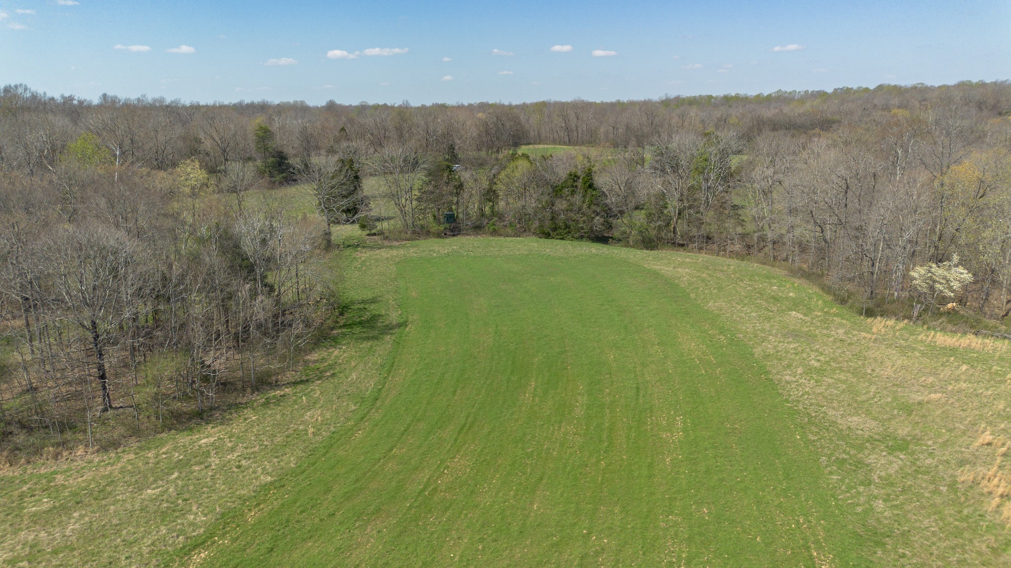 1904 Millers Chapel Road Charlotte, TN 37036 - Photo 40 of 43