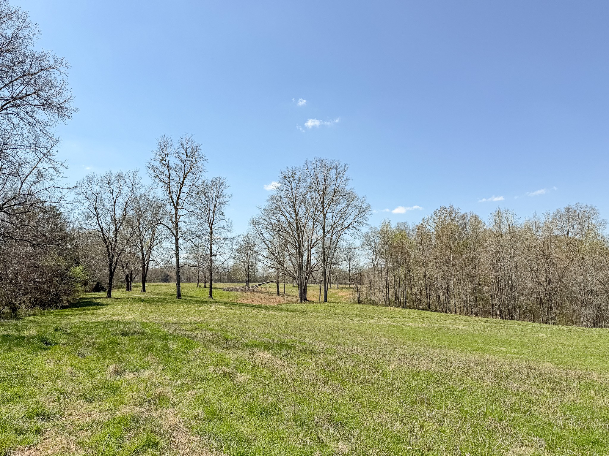 1904 Millers Chapel Road Charlotte, TN 37036 - Photo 4 of 43