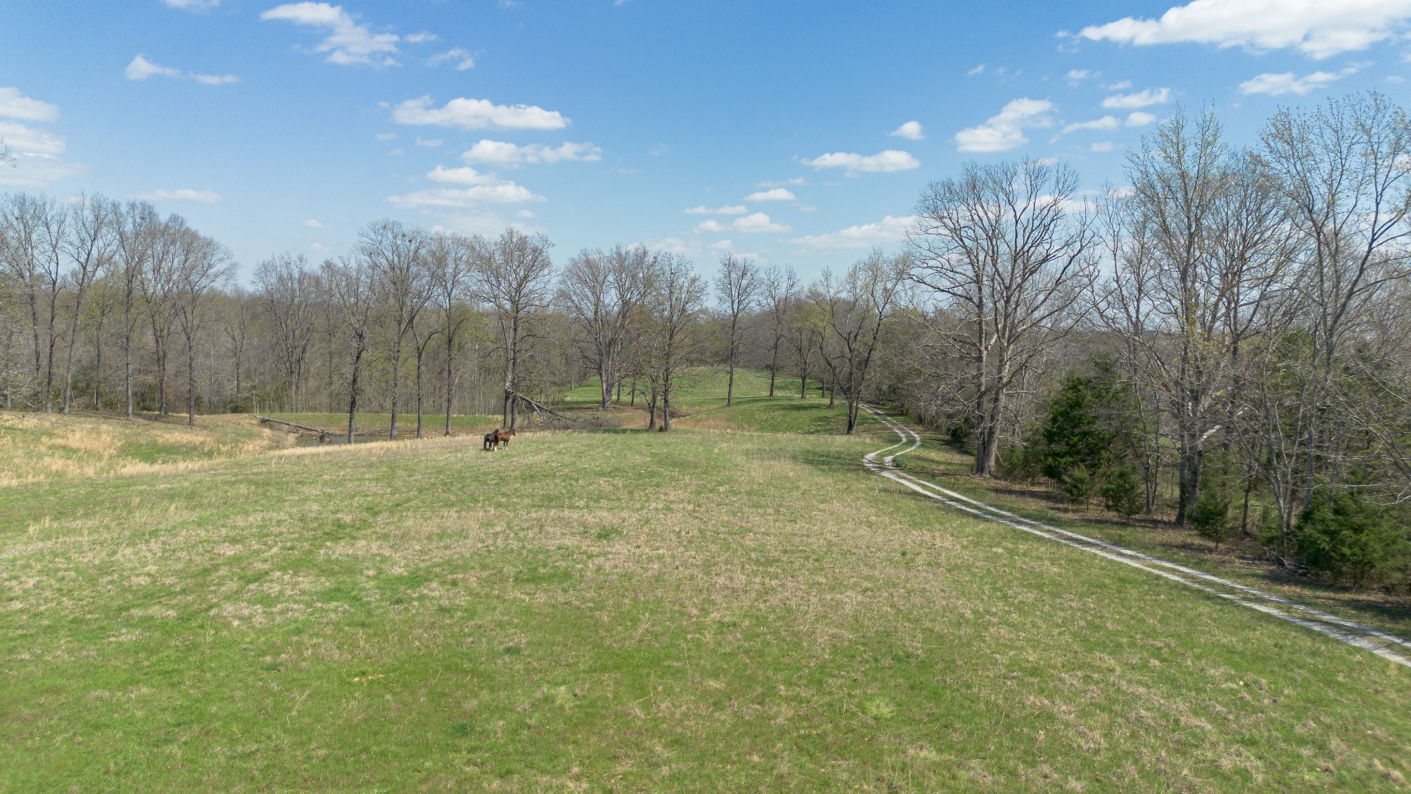 1904 Millers Chapel Road Charlotte, TN 37036 - Photo 41 of 43