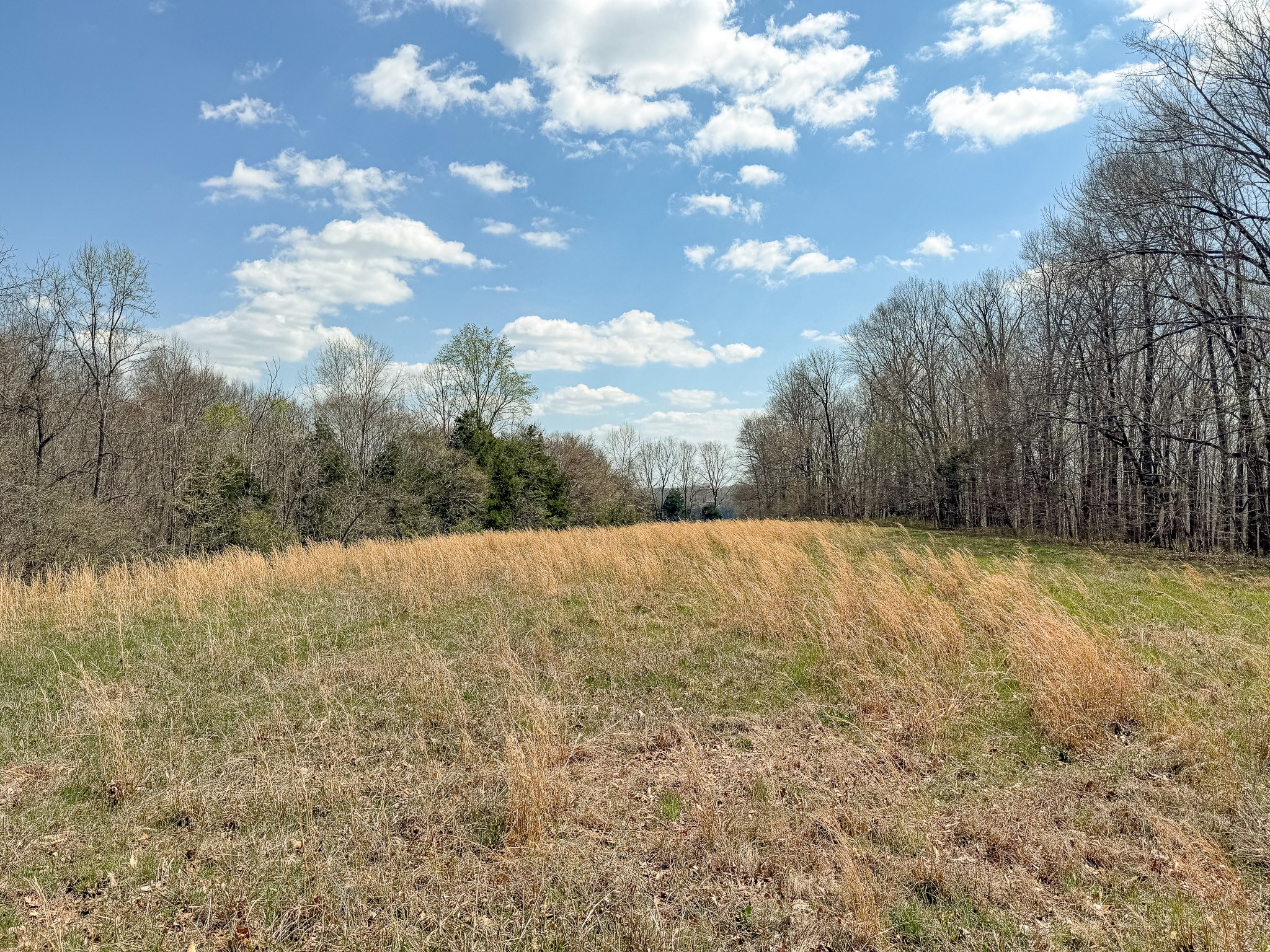 1904 Millers Chapel Road Charlotte, TN 37036 - Photo 42 of 43