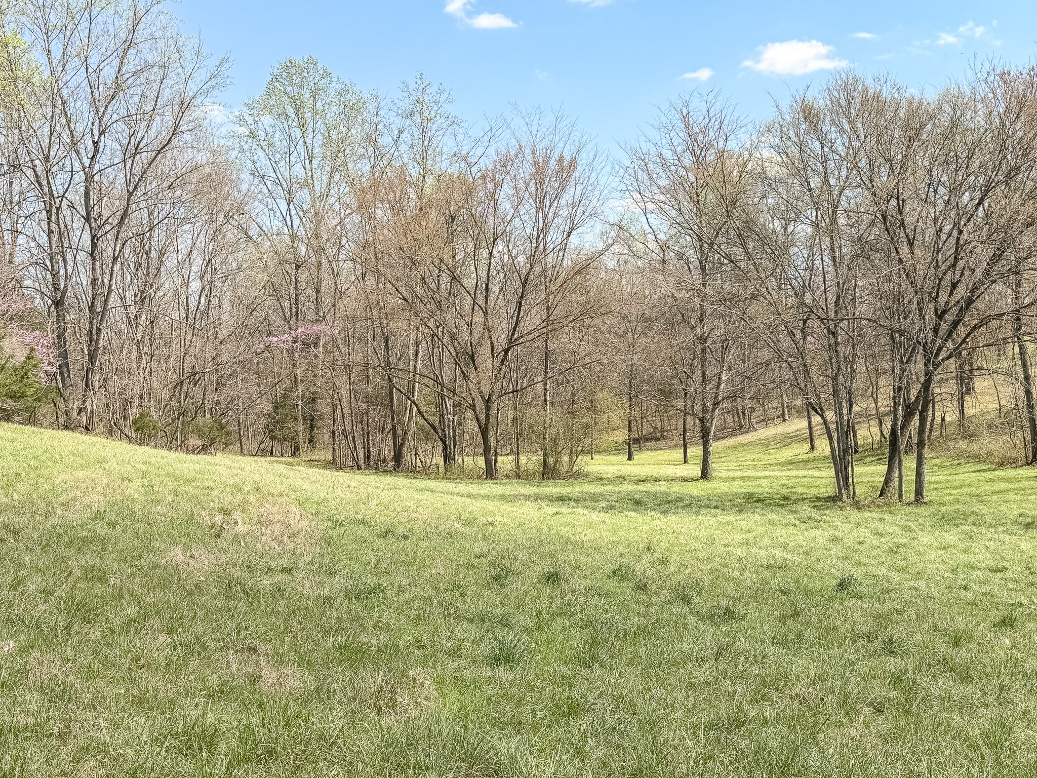 1904 Millers Chapel Road Charlotte, TN 37036 - Photo 6 of 43