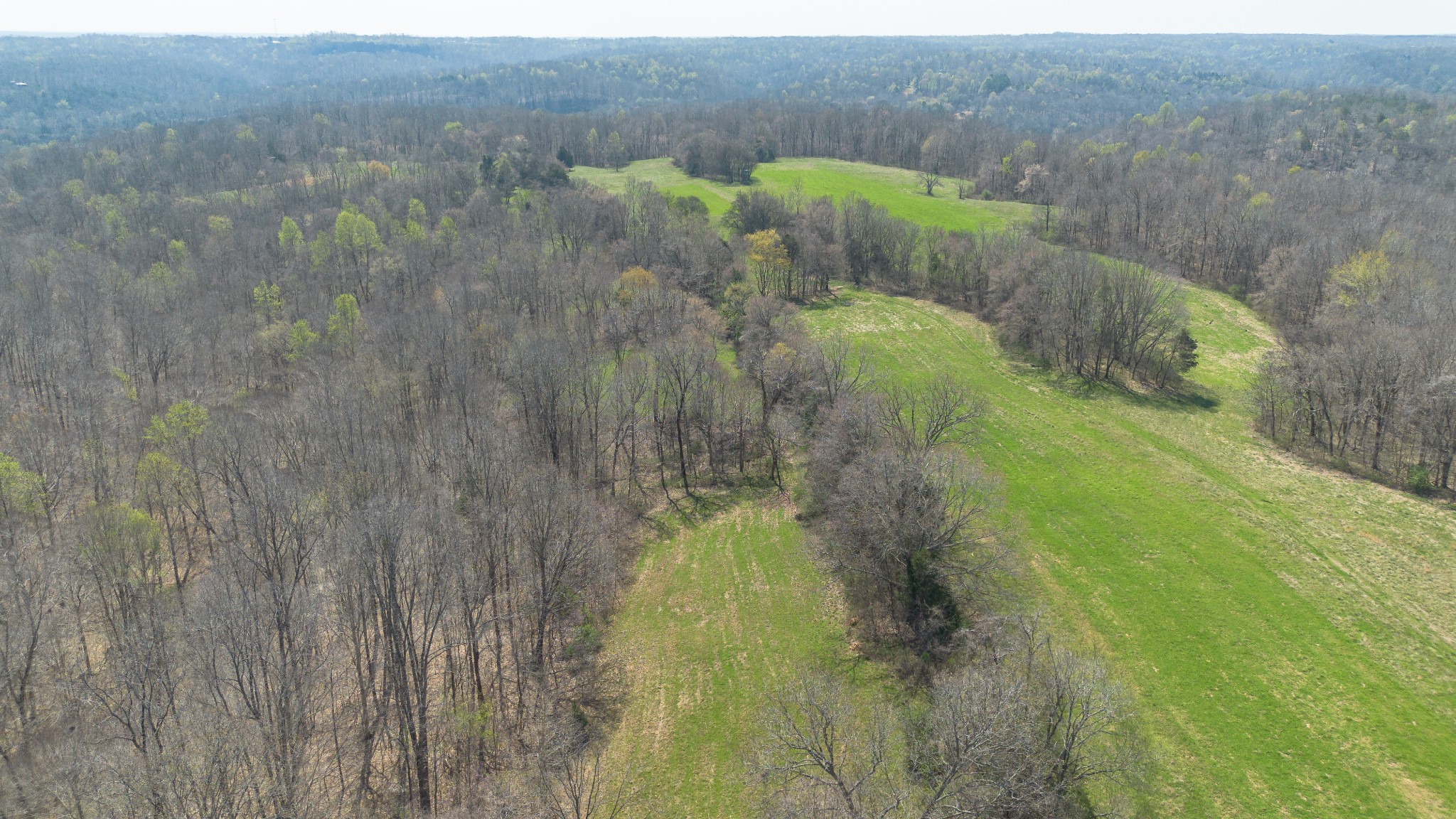 1904 Millers Chapel Road Charlotte, TN 37036 - Photo 7 of 43