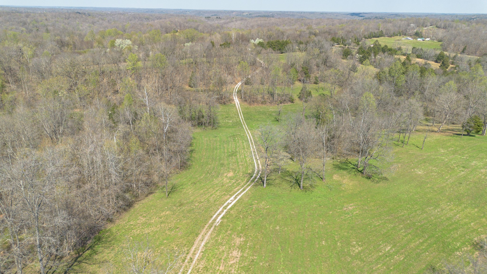 1904 Millers Chapel Road Charlotte, TN 37036 - Photo 8 of 43