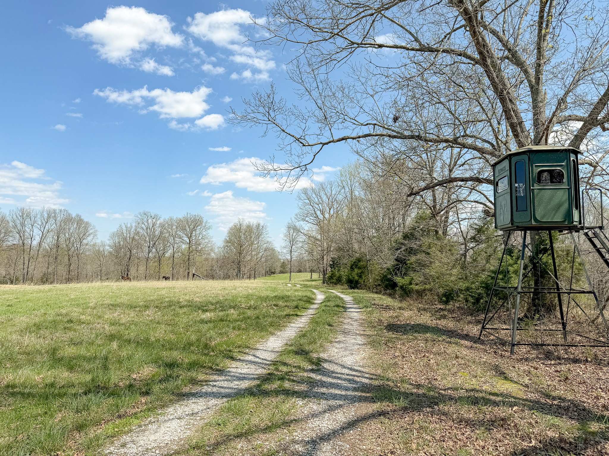 1904 Millers Chapel Road Charlotte, TN 37036 - Photo 9 of 43