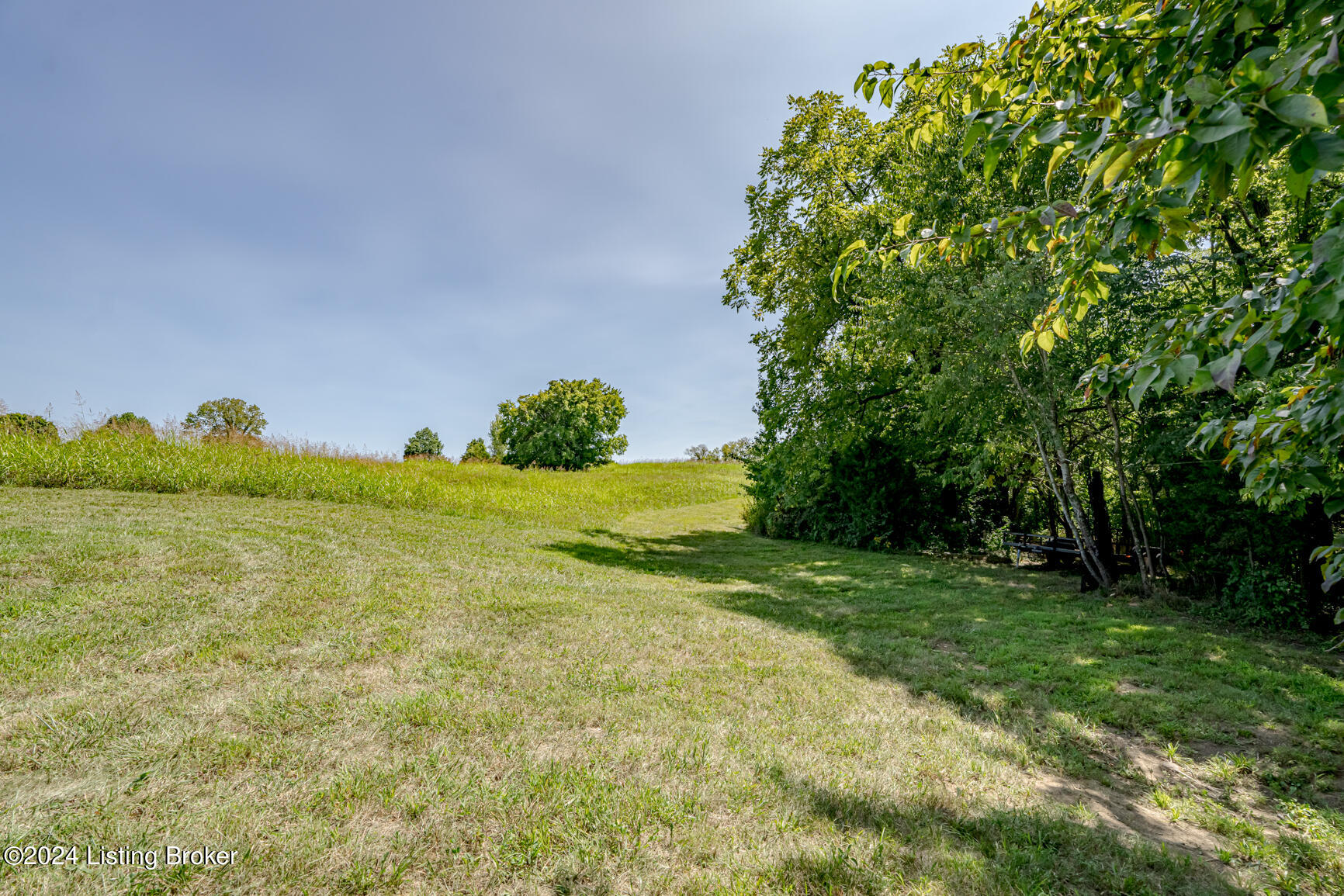 1519 Yoder Tipton Road Taylorsville, KY 40071 - Photo 88 of 114 DSC02289
