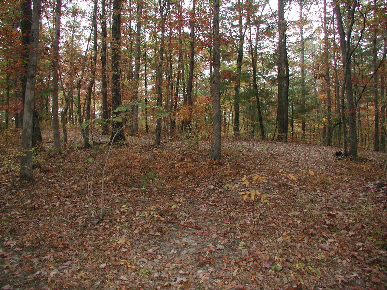 597 South Reservoir Road New Castle, VA 24127 - Photo 7 of 7 Scenary