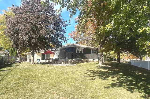 a big yard with large trees