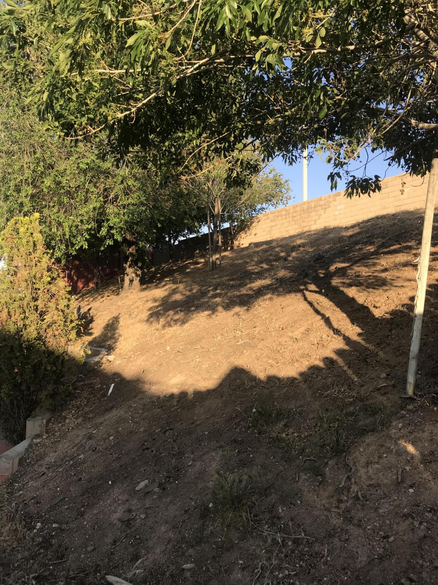 2824 Chuckwagon Road Palmdale, CA 93550 - Photo 7 of 28 24608C26-D801-4099-A1FE-0C103B53397D