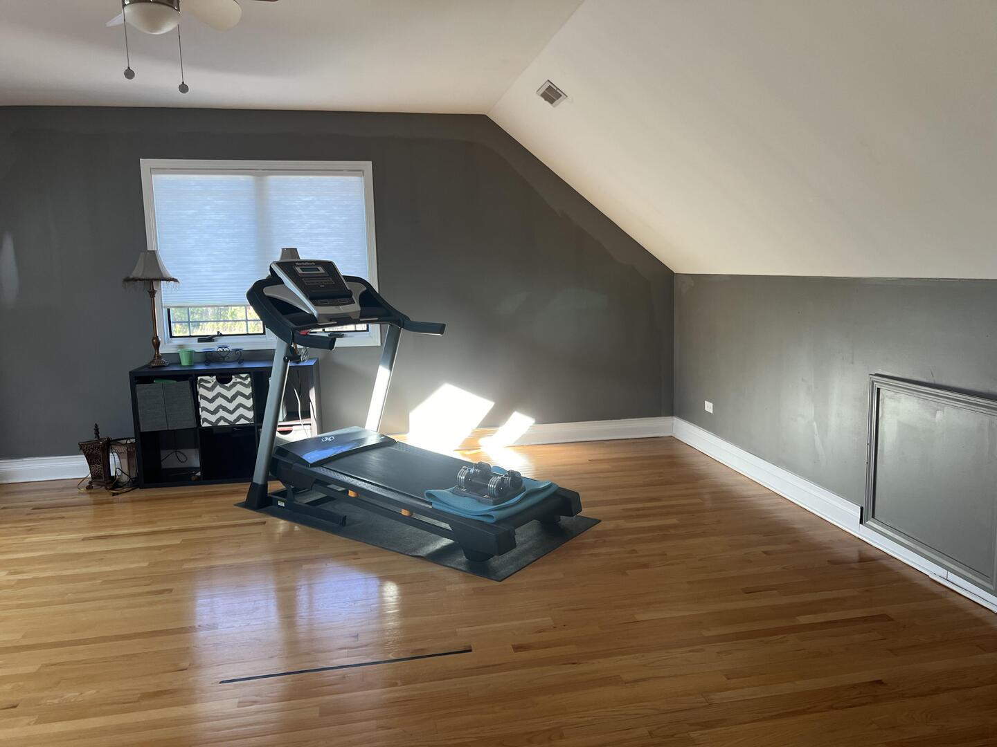 4429 203rd Street Matteson, IL 60443 - Photo 19 of 29 a room with gym equipment and wooden floor