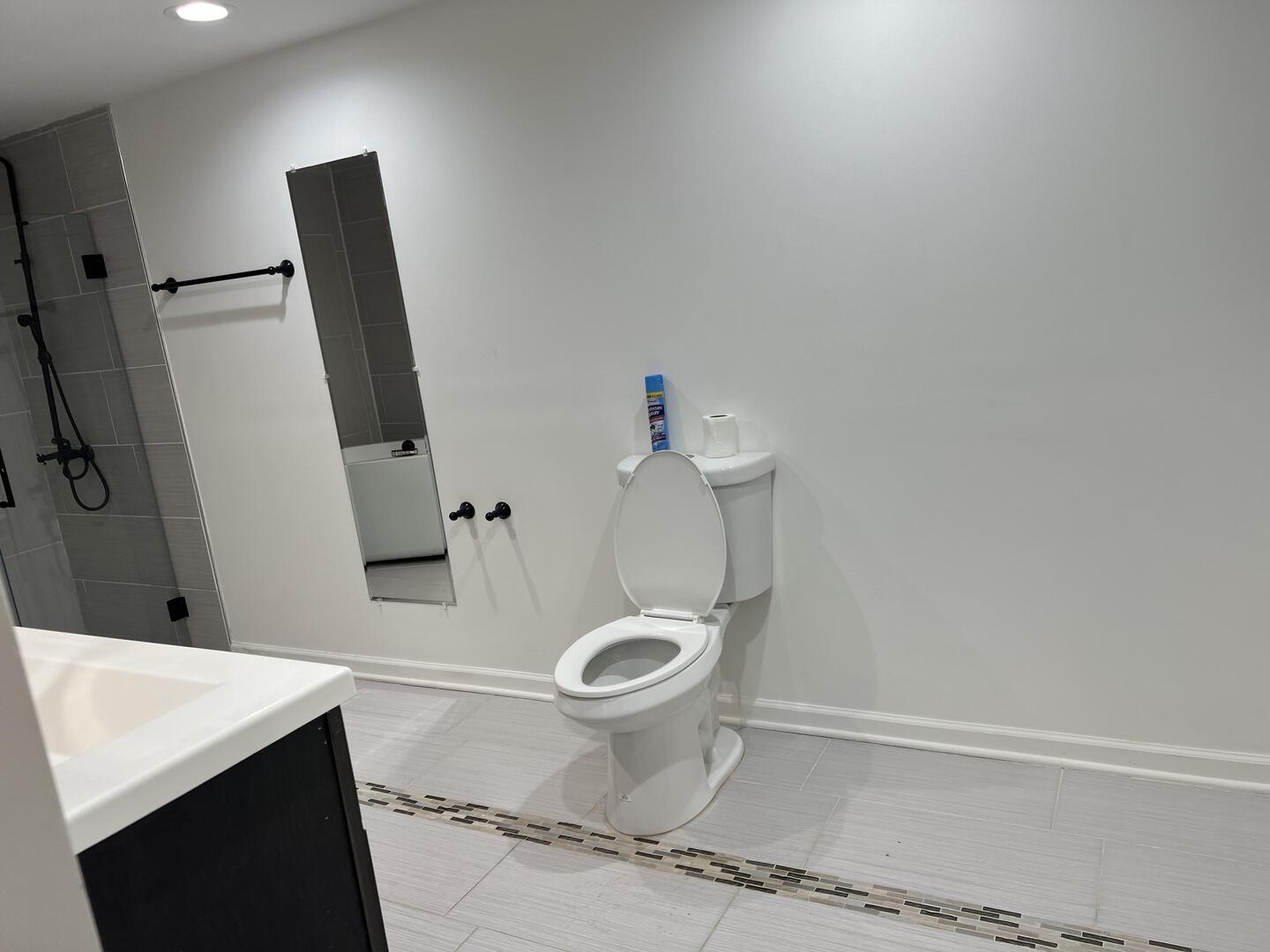 4429 203rd Street Matteson, IL 60443 - Photo 27 of 29 a bathroom with a sink a toilet and a mirror
