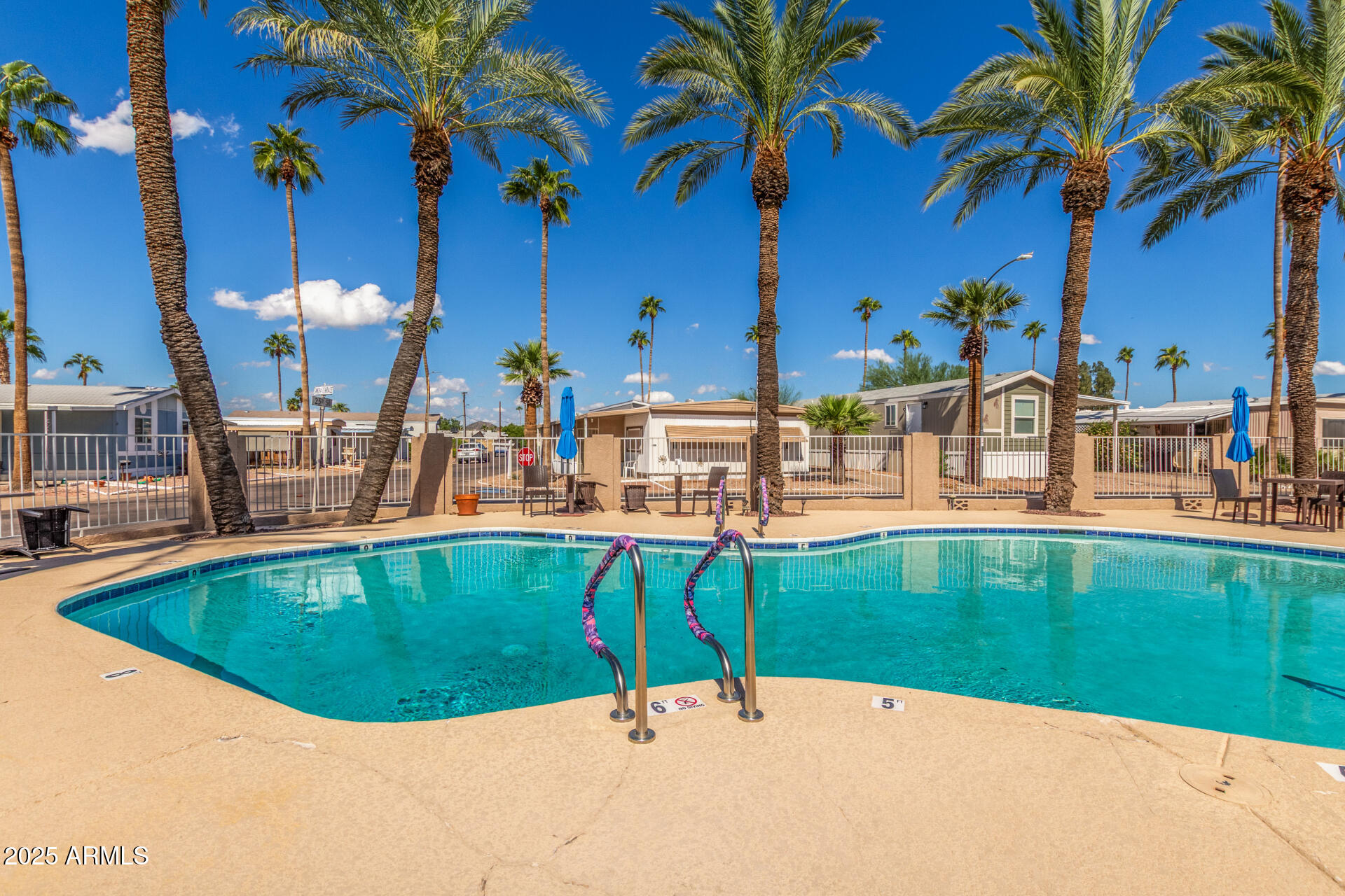 16225 North Cave Creek Road, Unit 140 Phoenix, AZ 85032 - Photo 29 of 32 a view of a swimming pool with a lawn chairs under palm trees