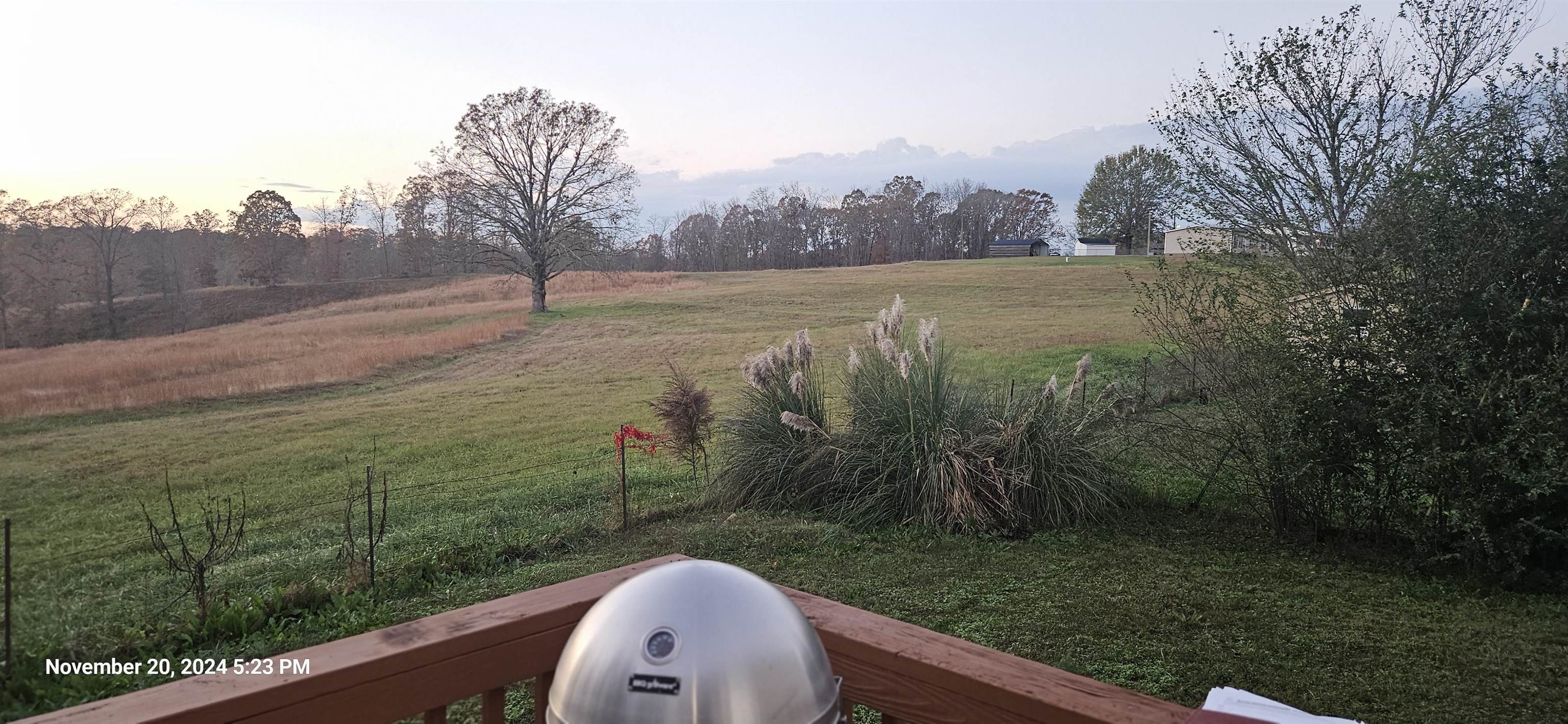 280 Rogerstown Road Jonesville, SC 29353 - Photo 8 of 29