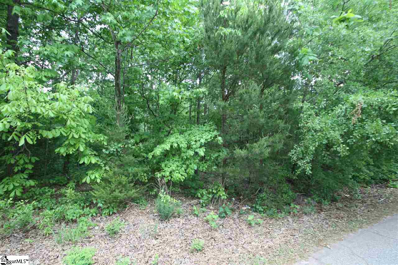 0 Fitts Spur Greer, SC 29651 - Photo 3 of 4 Gallery Image 3