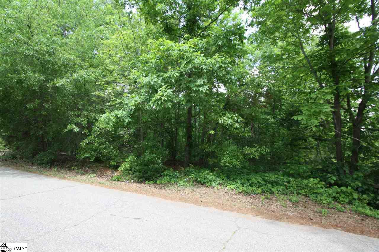 0 Fitts Spur Greer, SC 29651 - Photo 4 of 4 Gallery Image 4