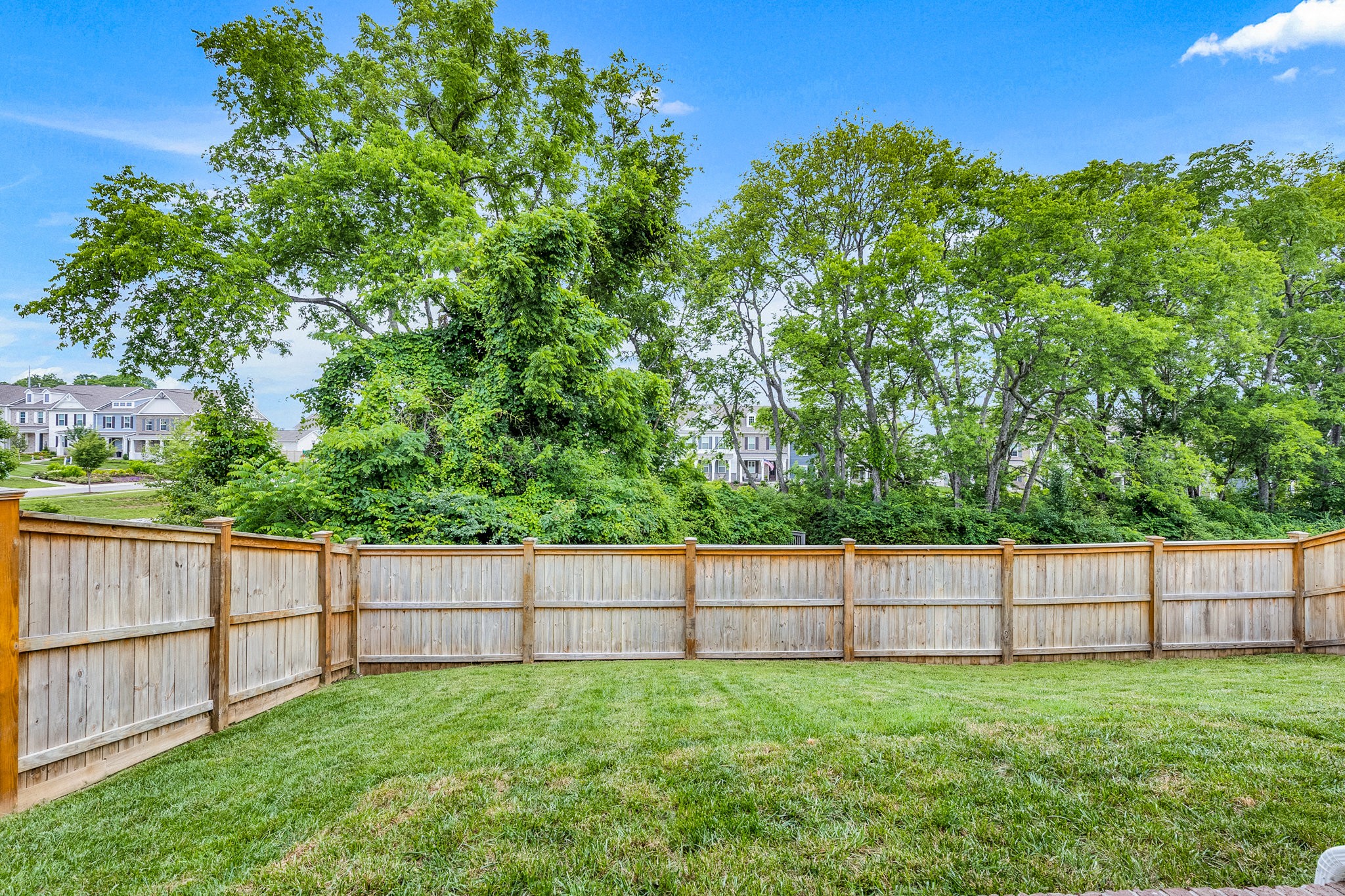 2110 Lequire Lane Spring Hill, TN 37174 - Photo 57 of 76