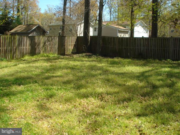 a view of a back yard