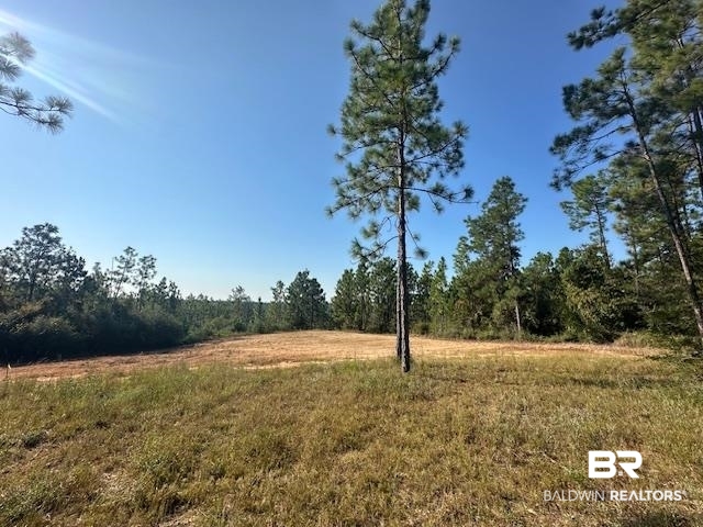 11865 Red Hill Rd Extension Bay Minette, AL 36507 - Photo 4 of 12