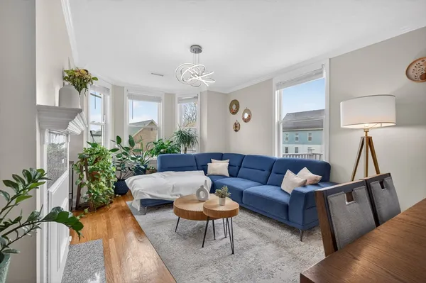 a living room with furniture and a potted plant