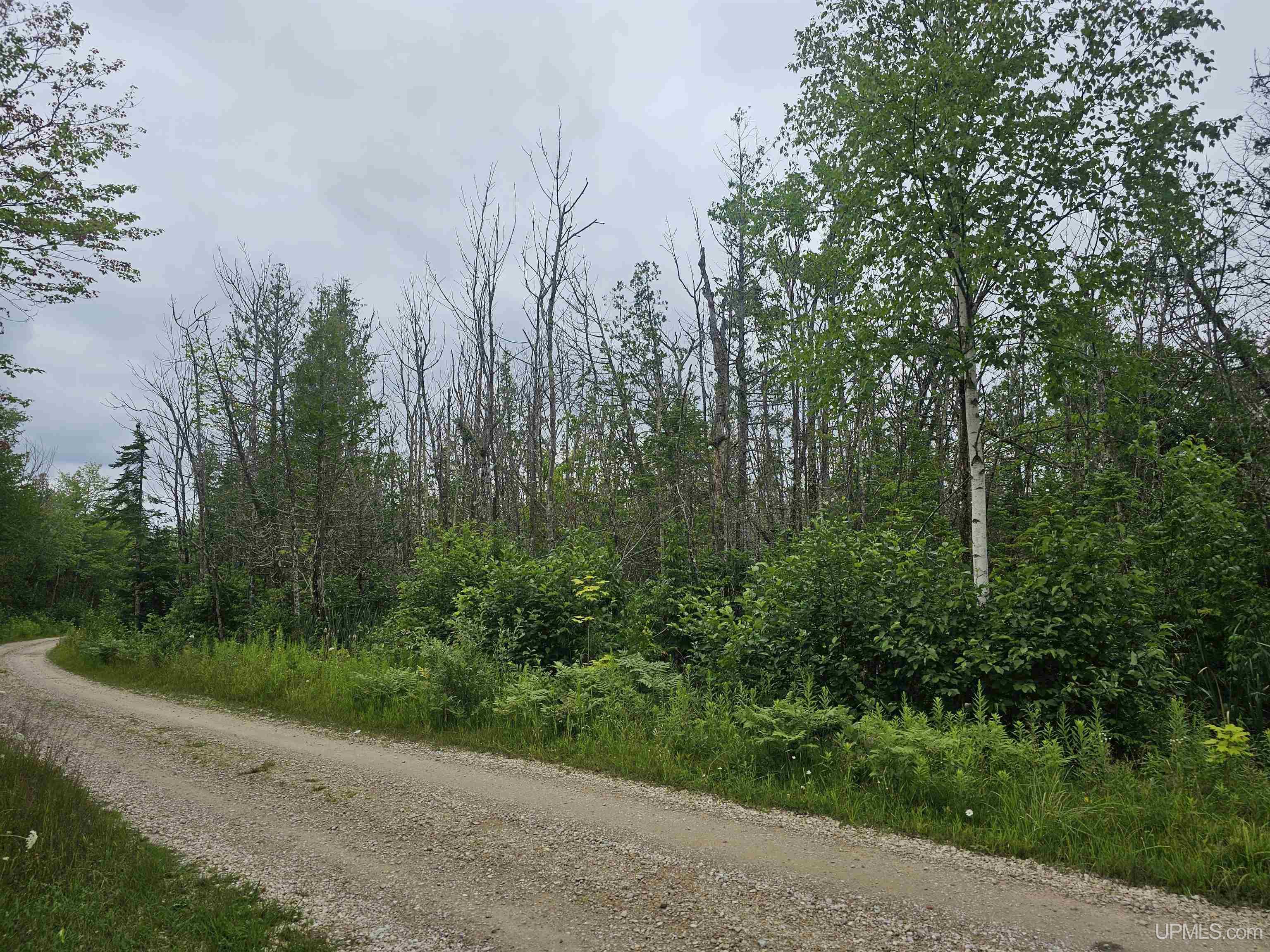 5965 Milakokia Lake Road Gould City, MI 49838 - Photo 28 of 41