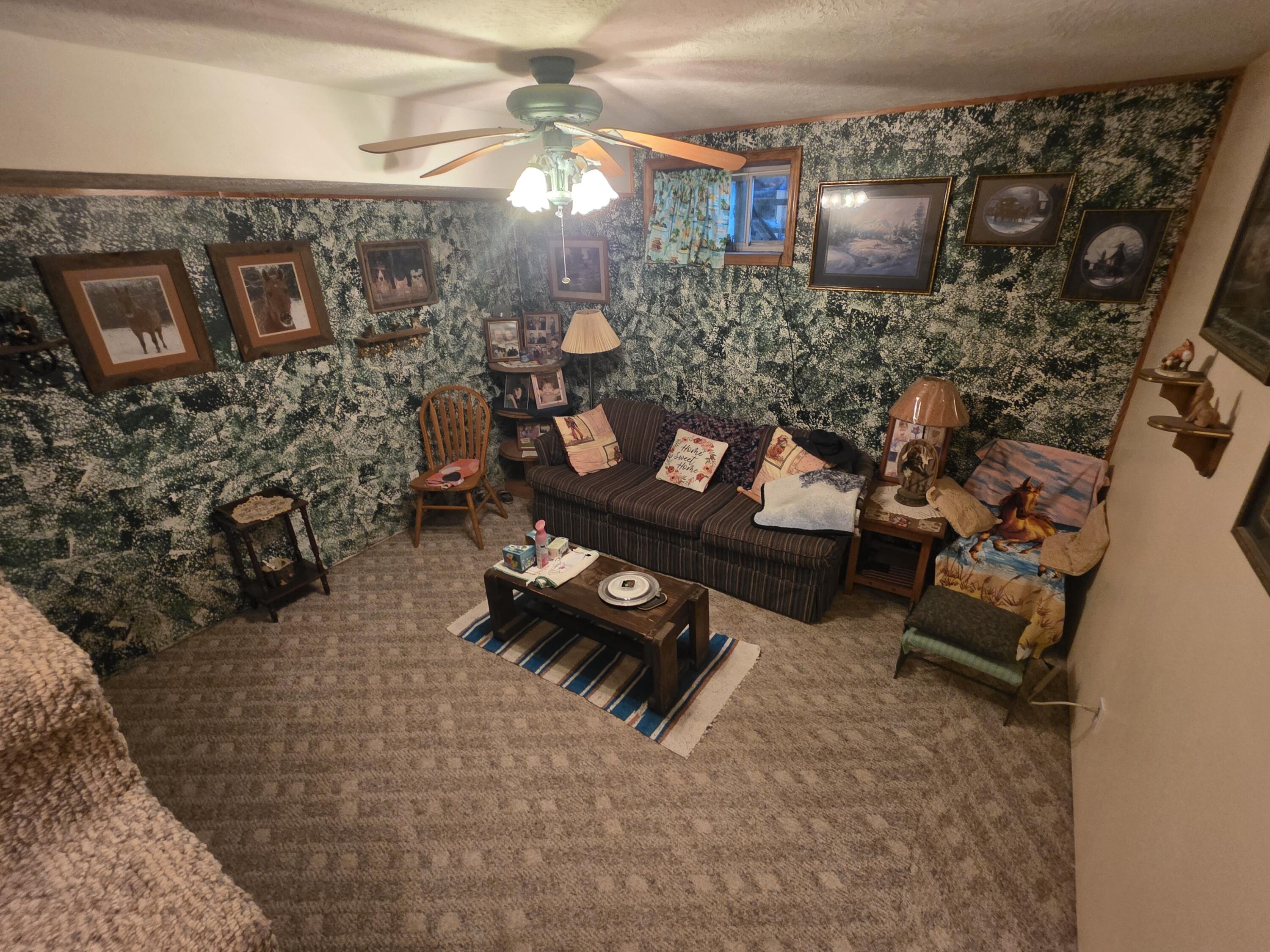 10763 Red Spring Road Mountain Grove, MO 65711 - Photo 33 of 68 Living Room Downstairs