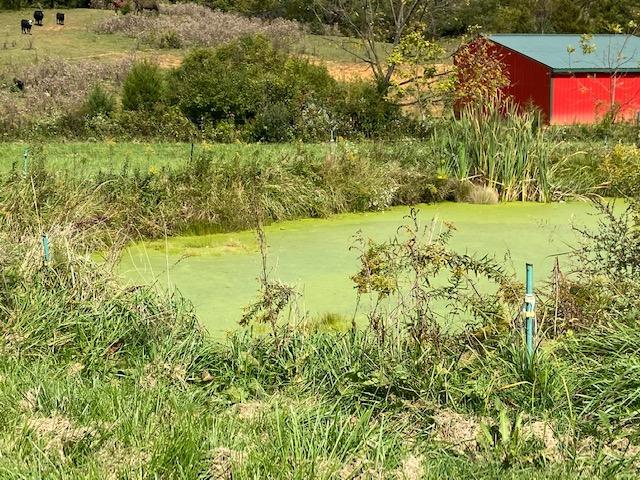 867 Parsons Road Troutville, VA 24175 - Photo 9 of 15 9