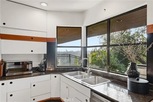 a kitchen with a sink a counter top space and a potted plant