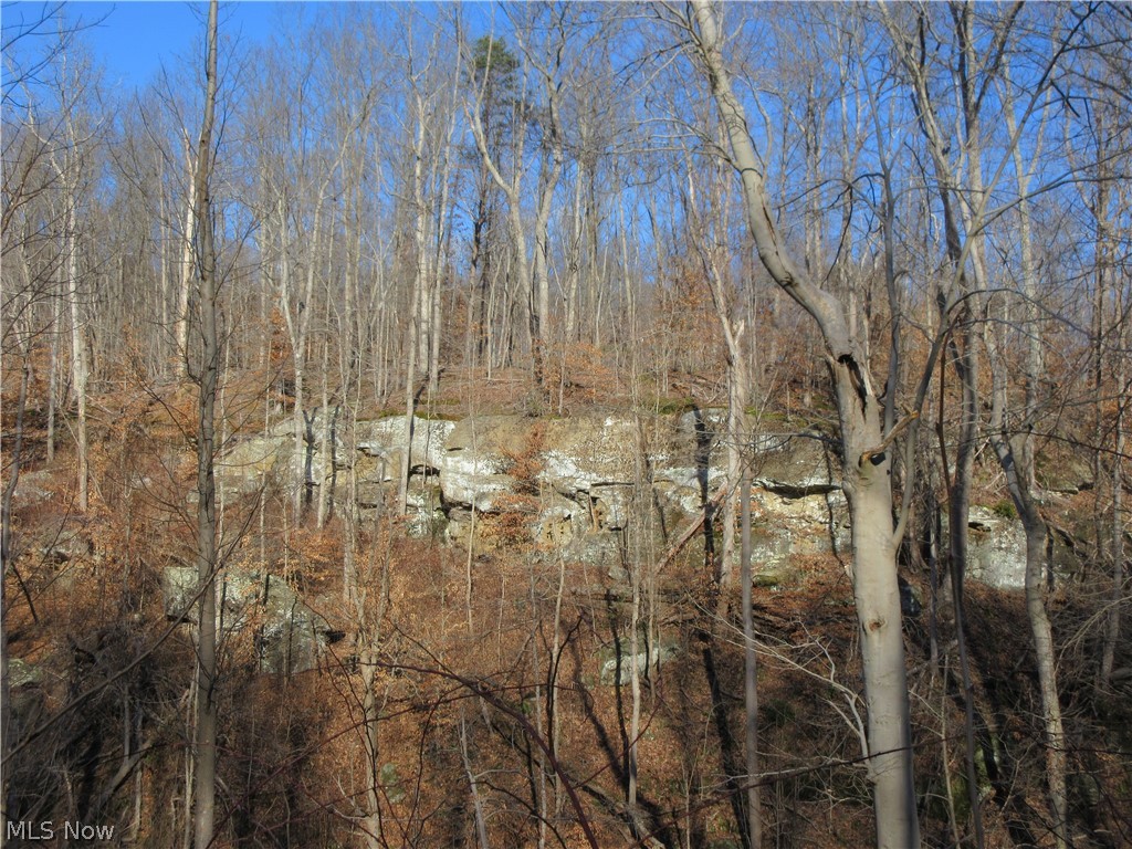 Green Valley Road Guysville, OH 45735 - Photo 2 of 15 Gallery Image 2